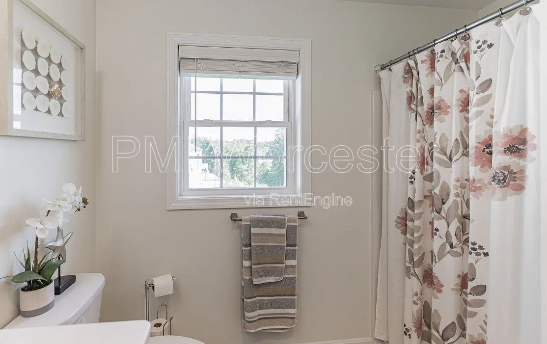 Gallery Image 28