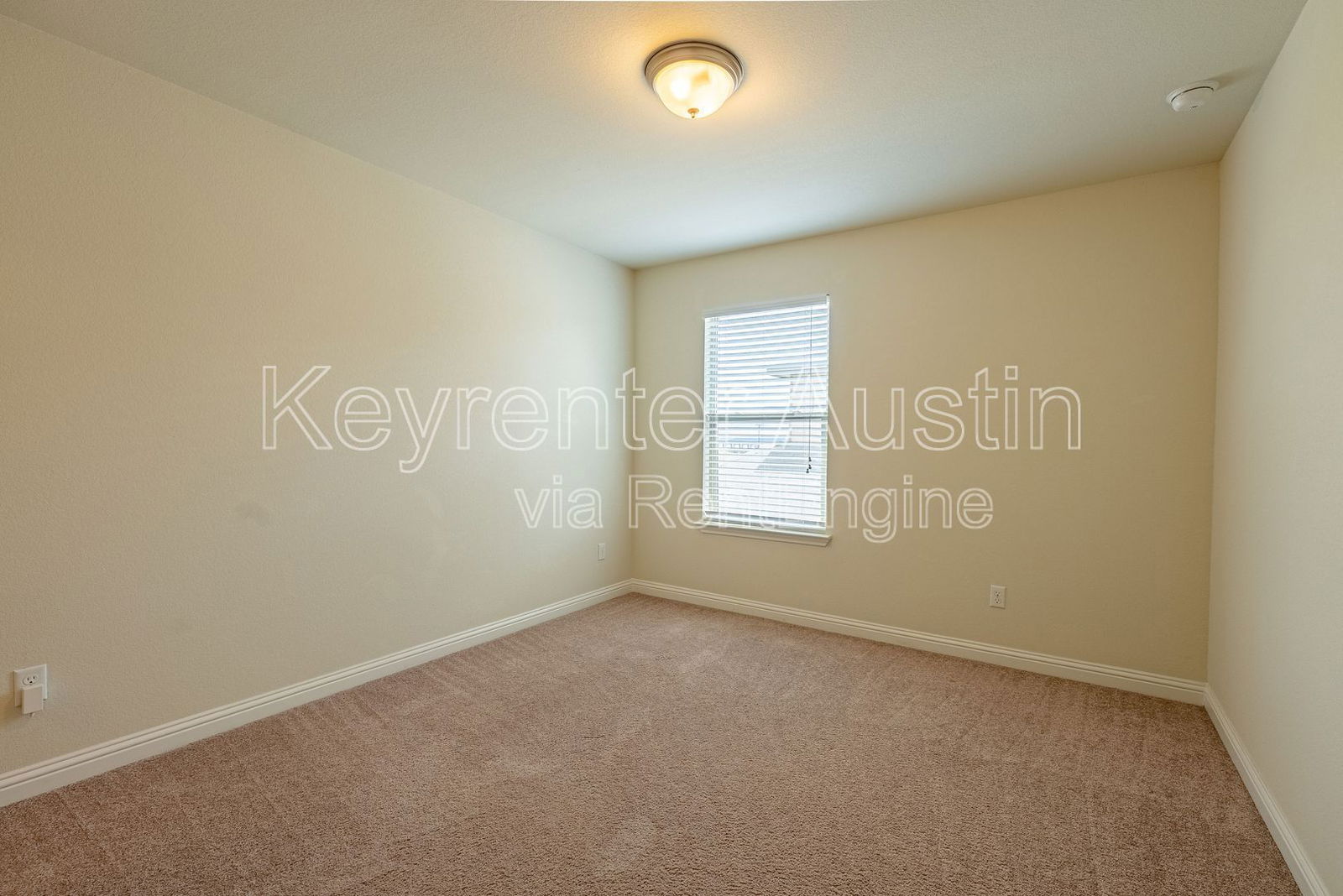 Gallery Image 18