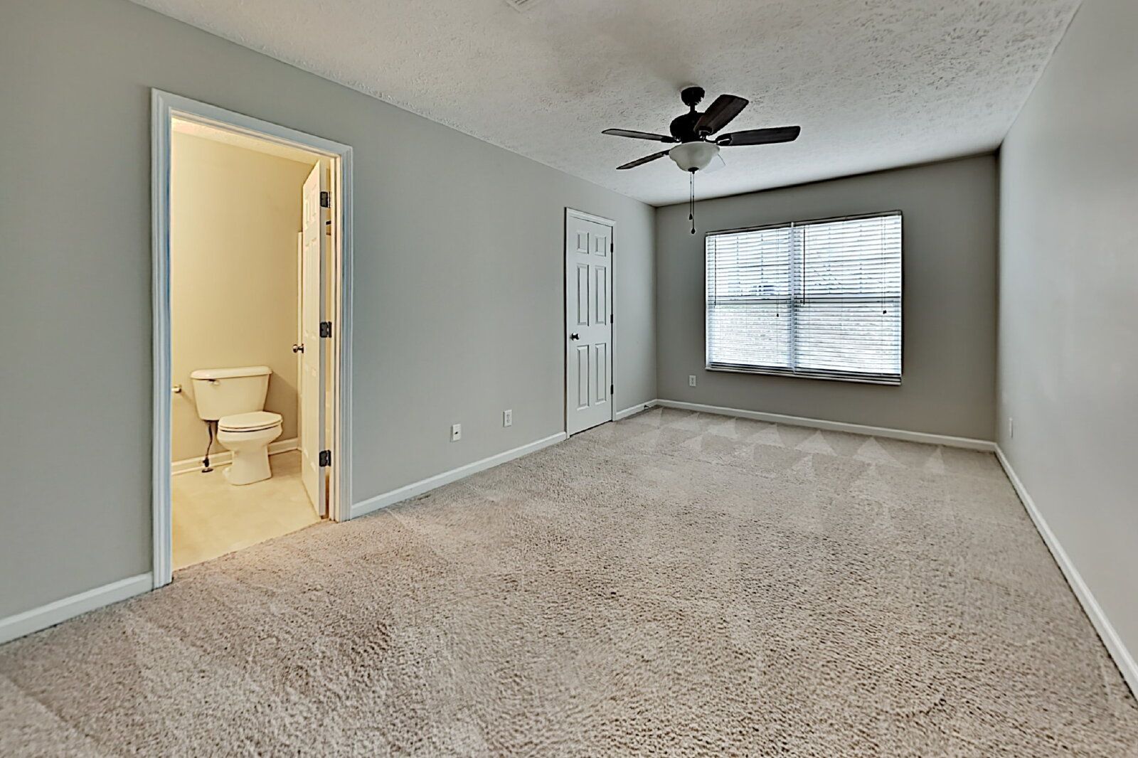 Gallery Image 19