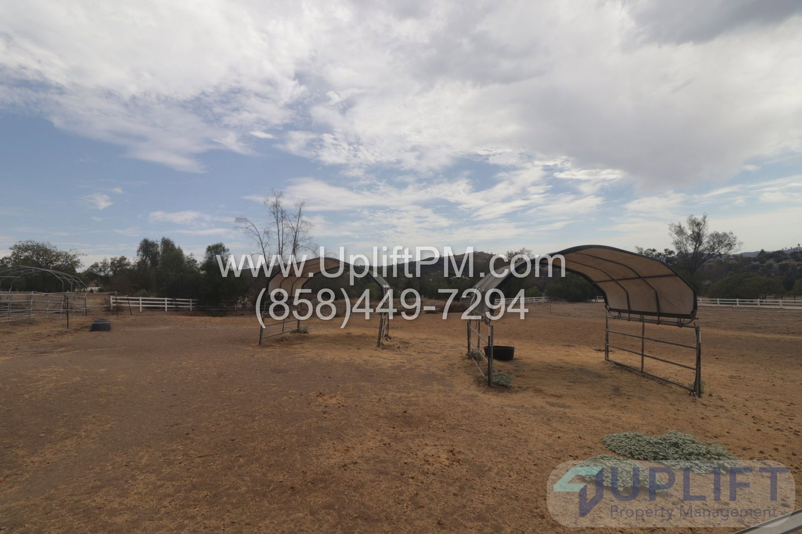 Gallery Image 8