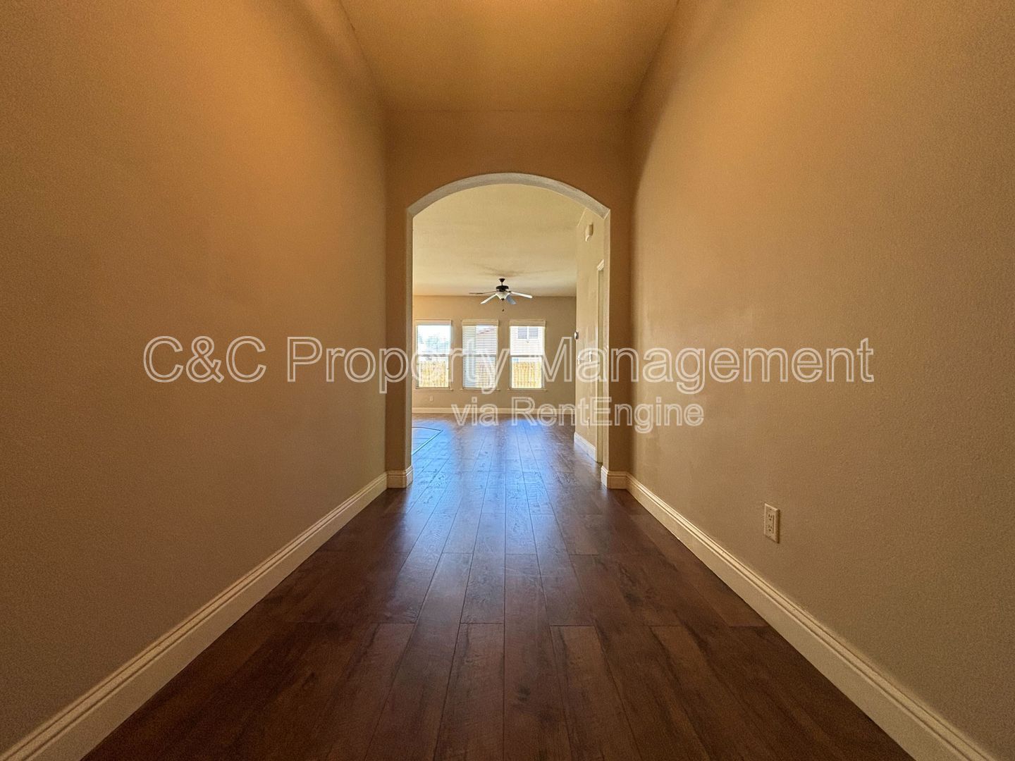 Gallery Image 8