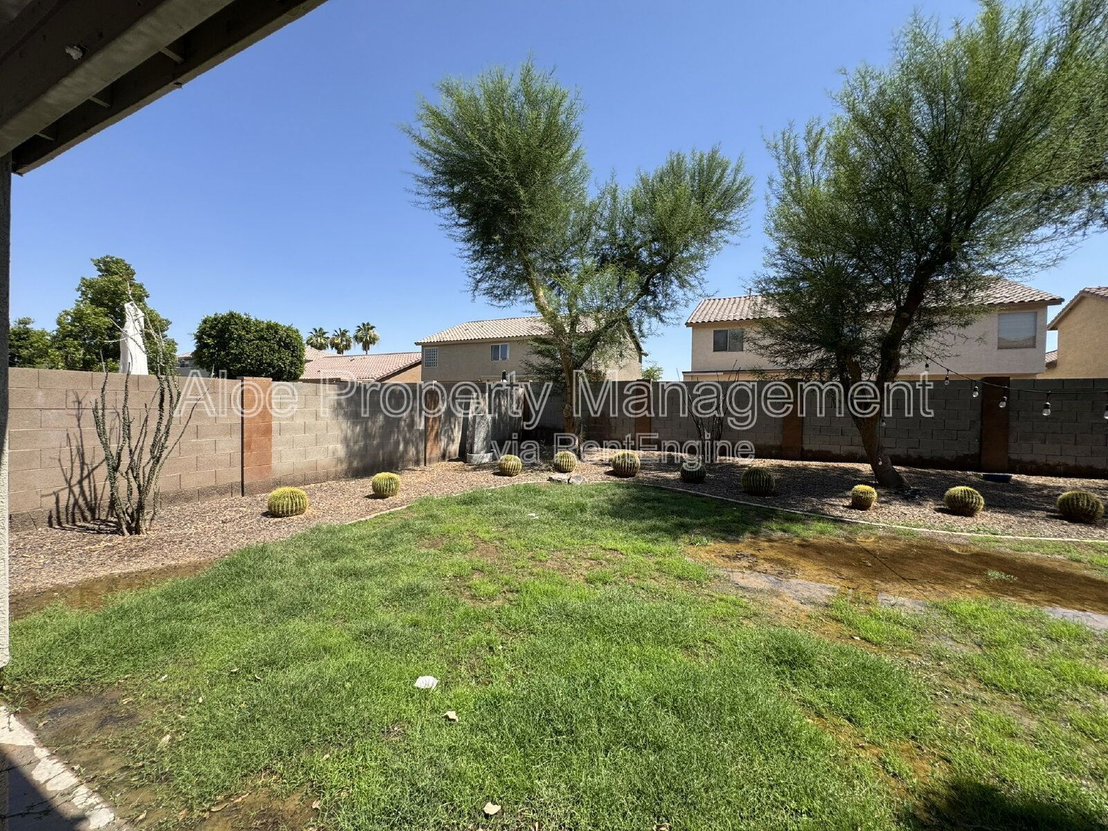 Gallery Image 20