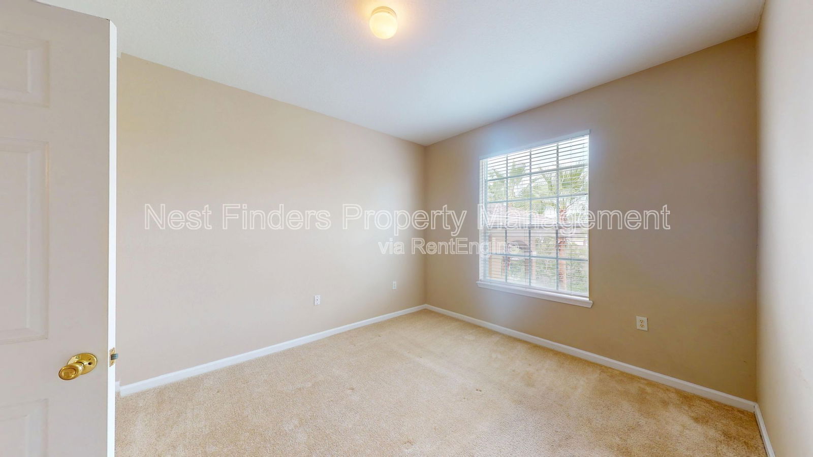 Gallery Image 18