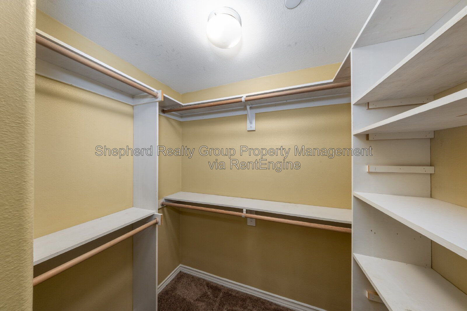Gallery Image 20