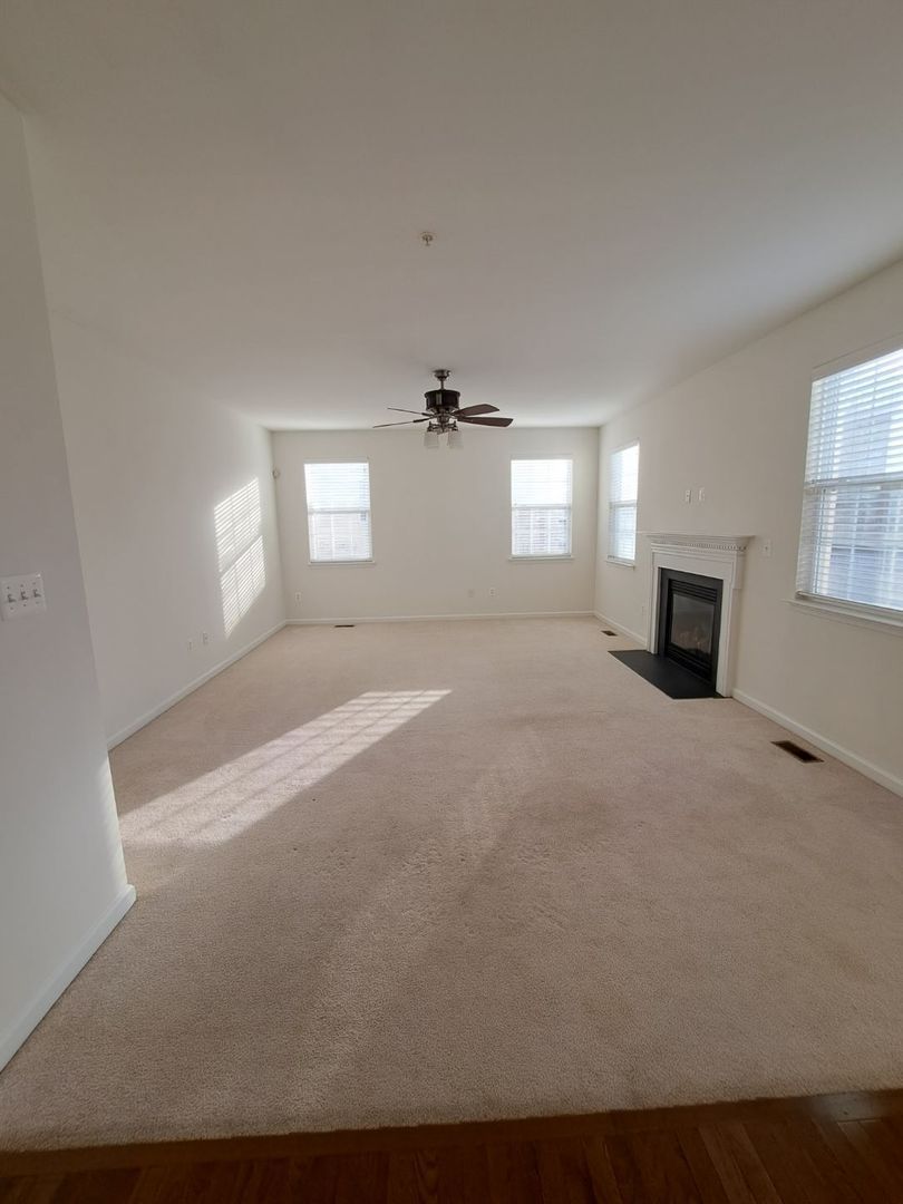 Gallery Image 14