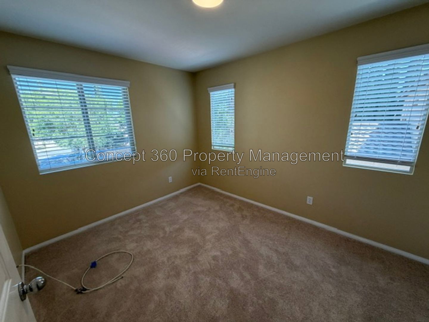 Gallery Image 33