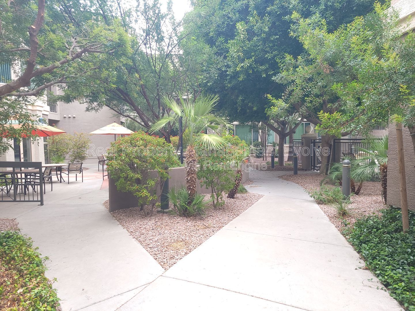 Gallery Image 53