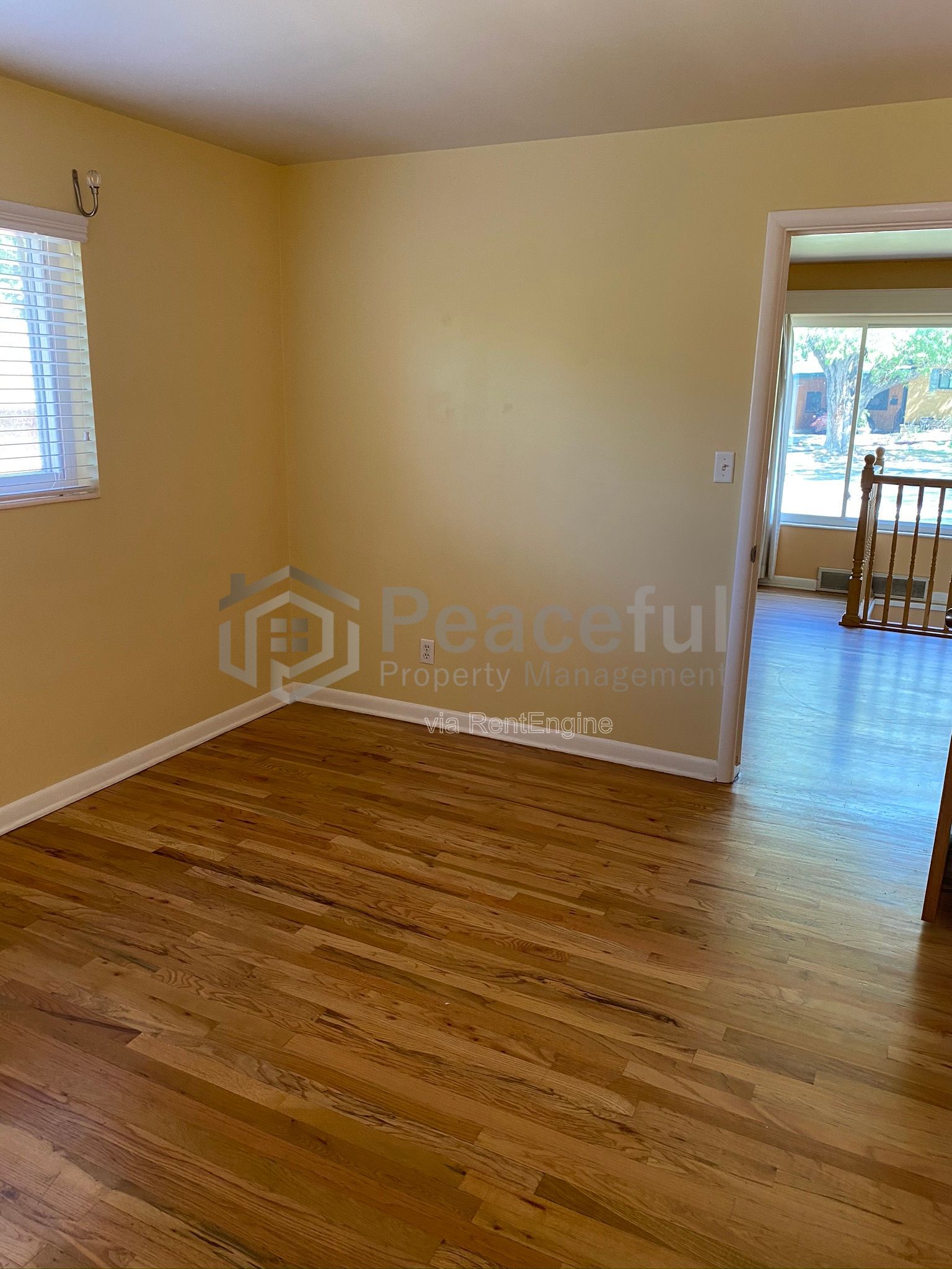 Gallery Image 19