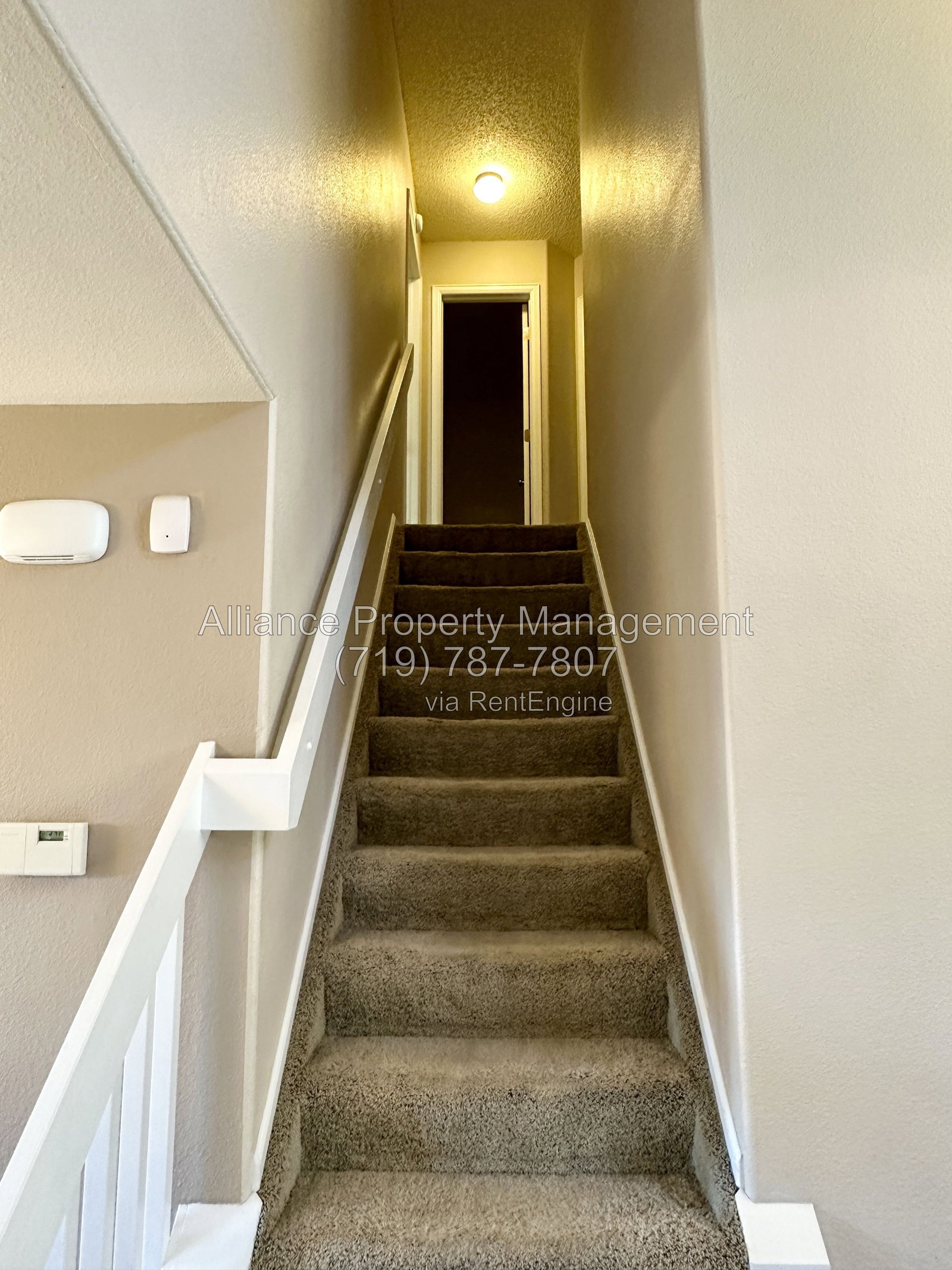 Gallery Image 21
