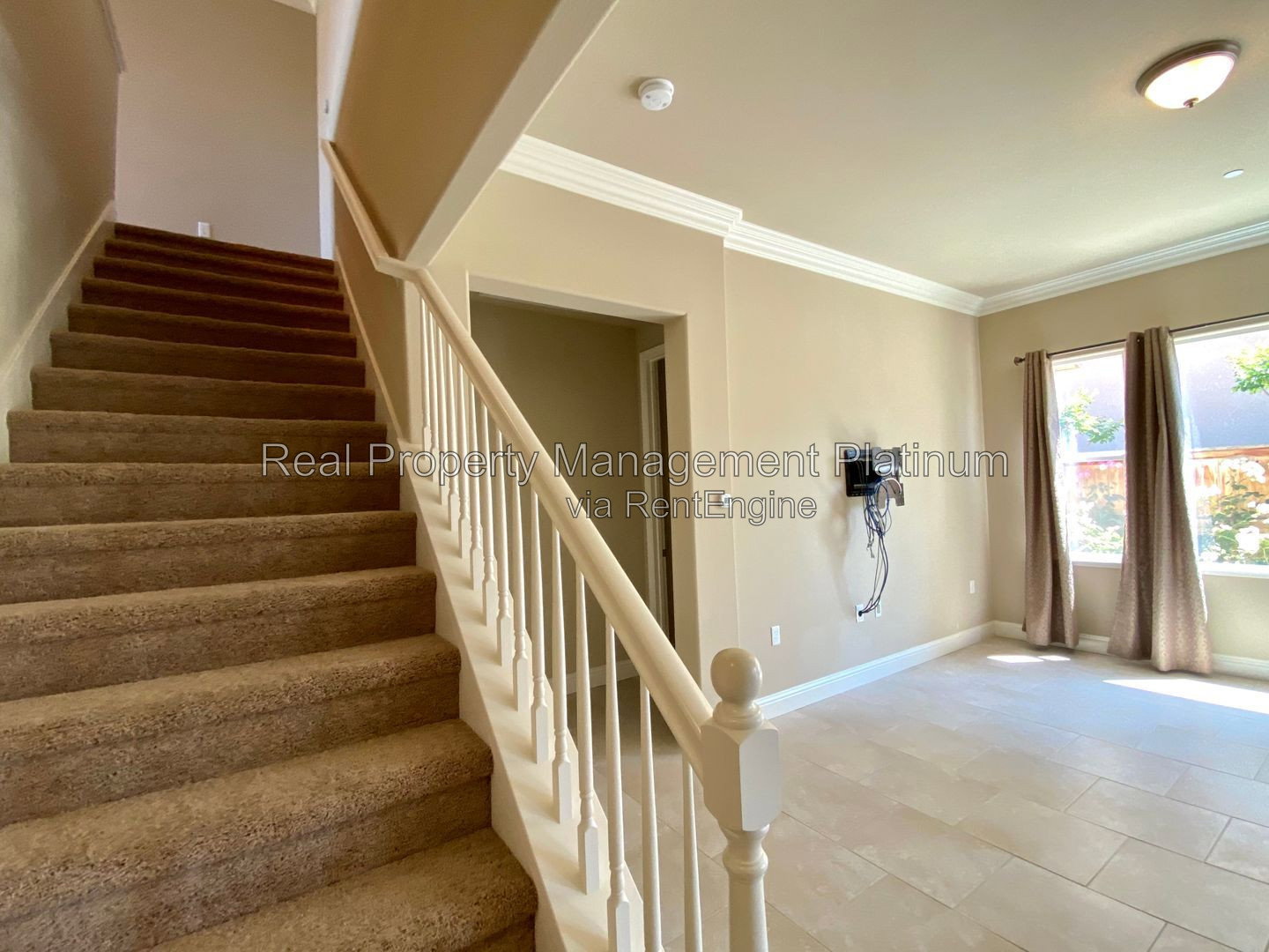 Gallery Image 20