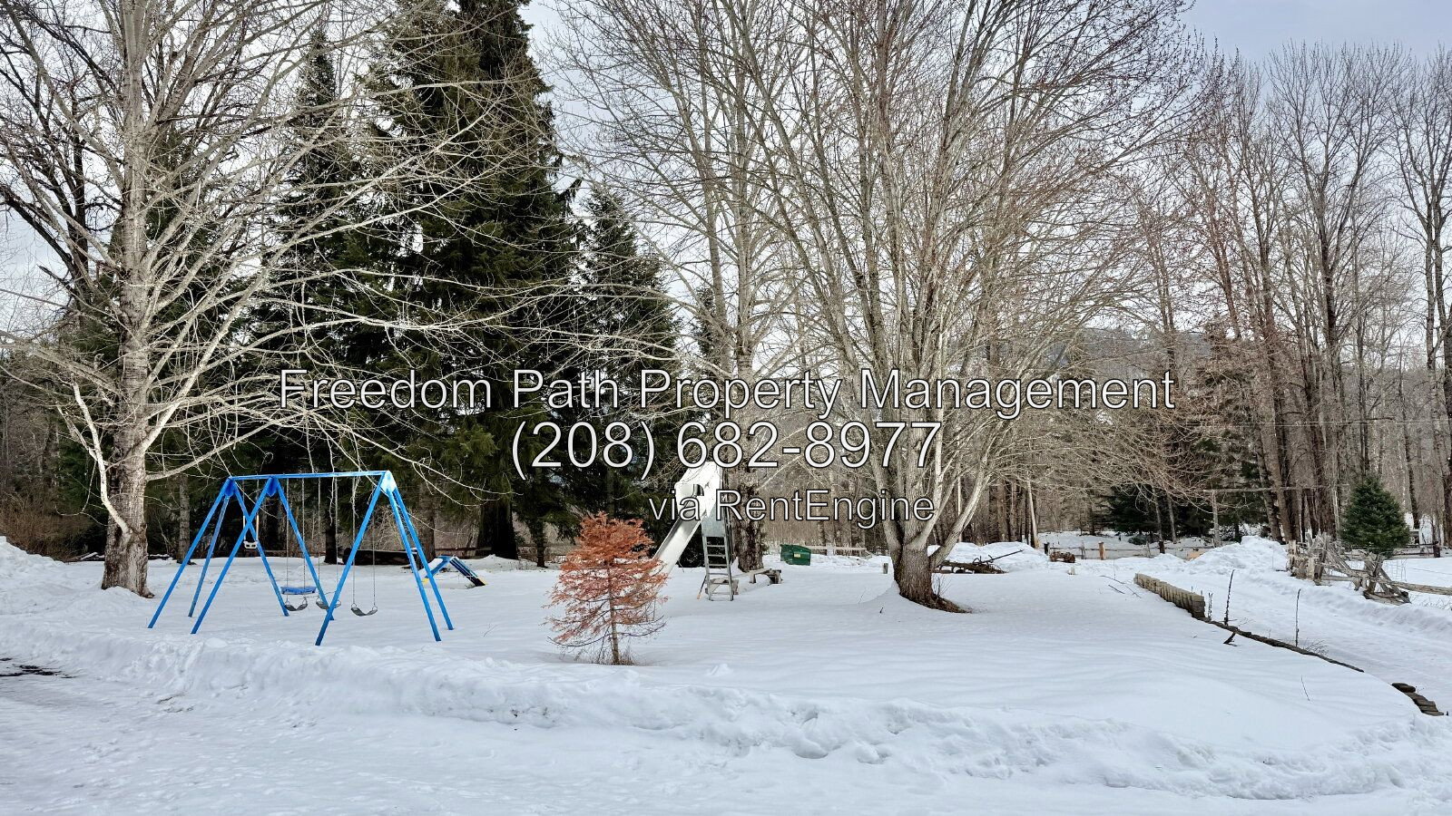 Gallery Image 27