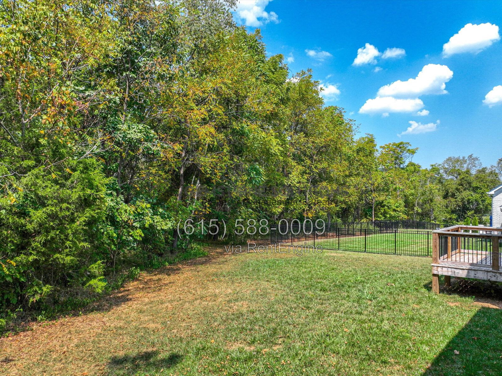 Gallery Image 63