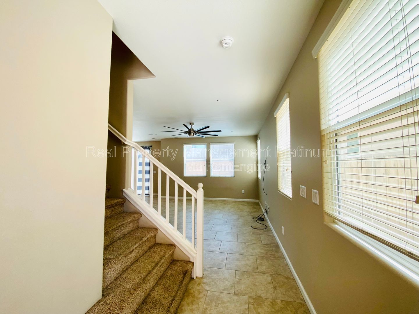 Gallery Image 19