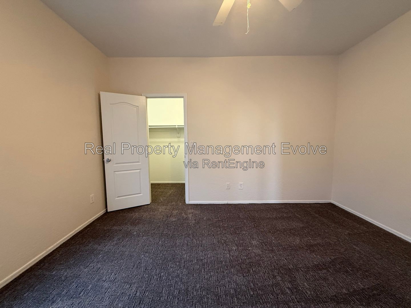 Gallery Image 49