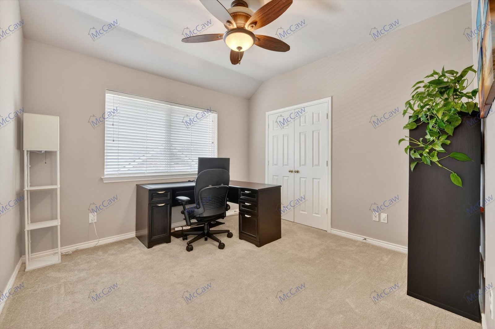 Gallery Image 16