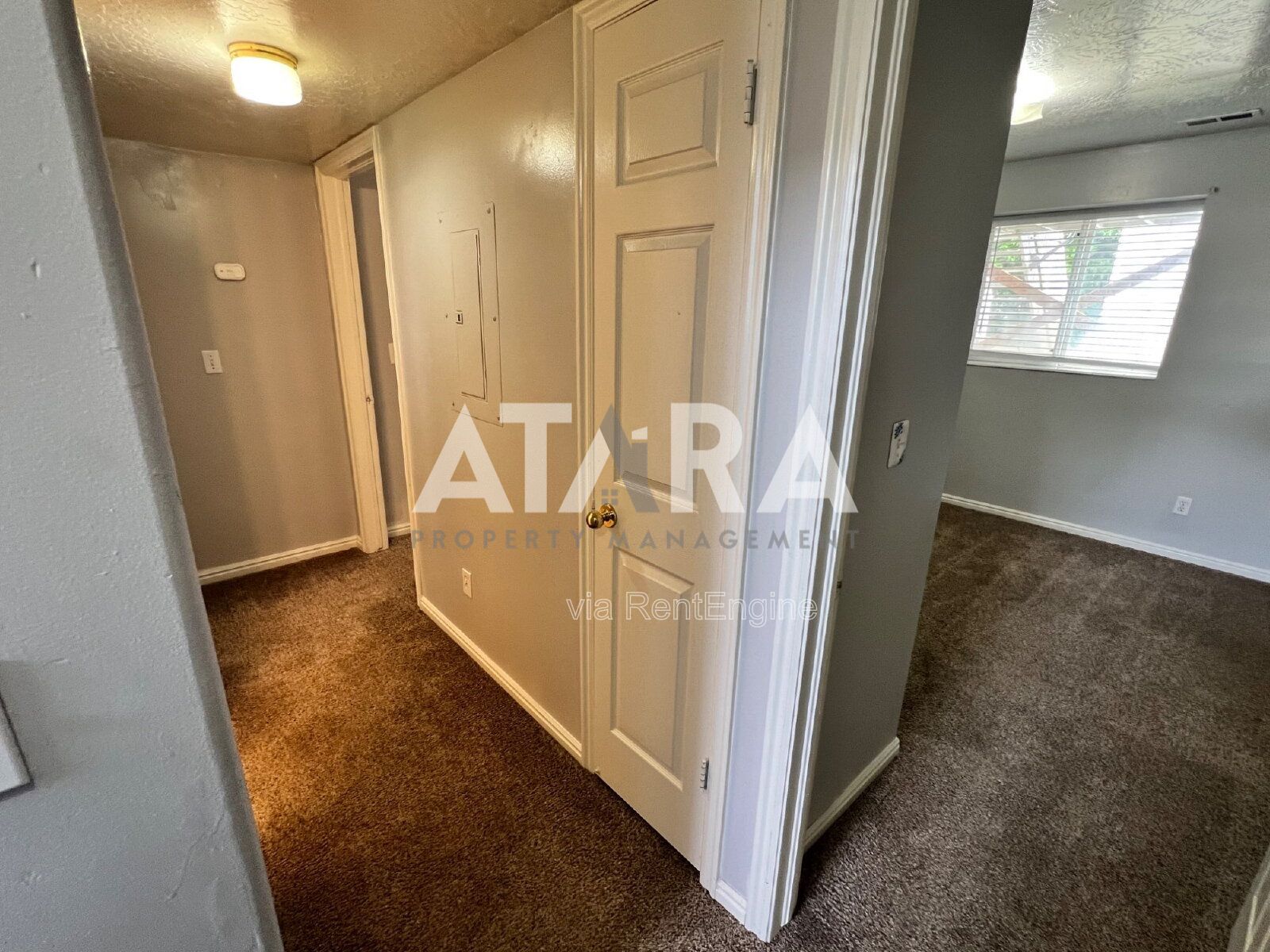 Gallery Image 21