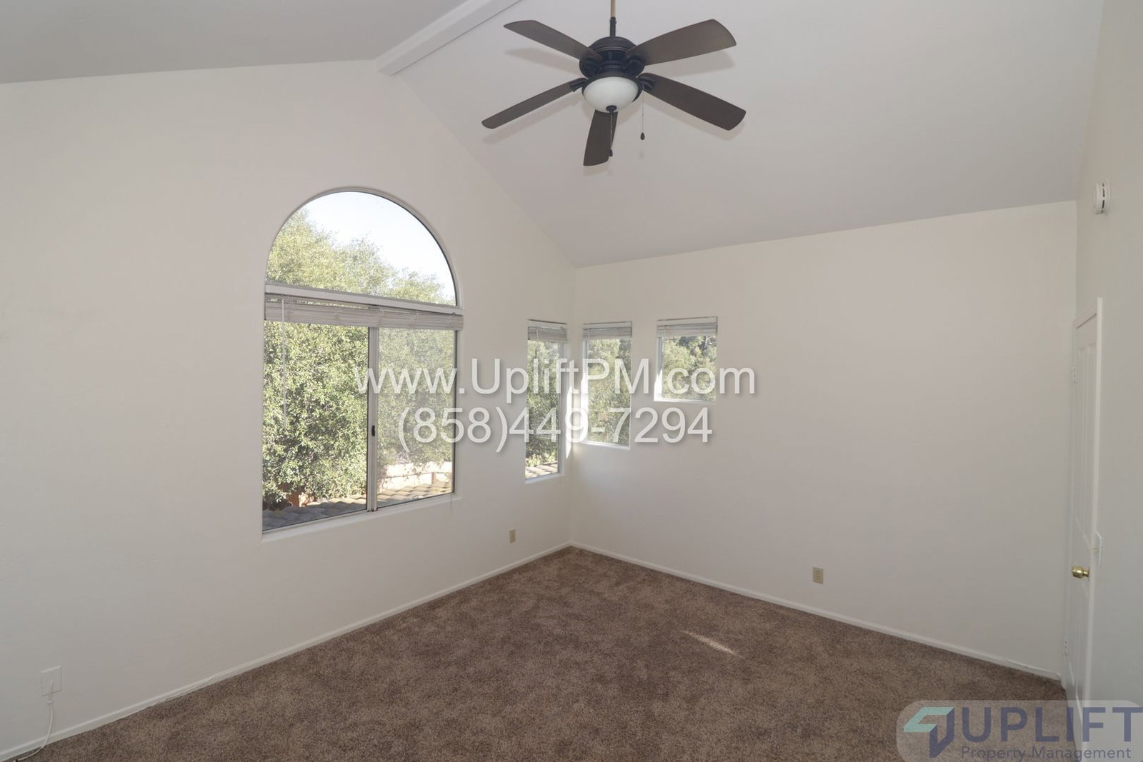 Gallery Image 19
