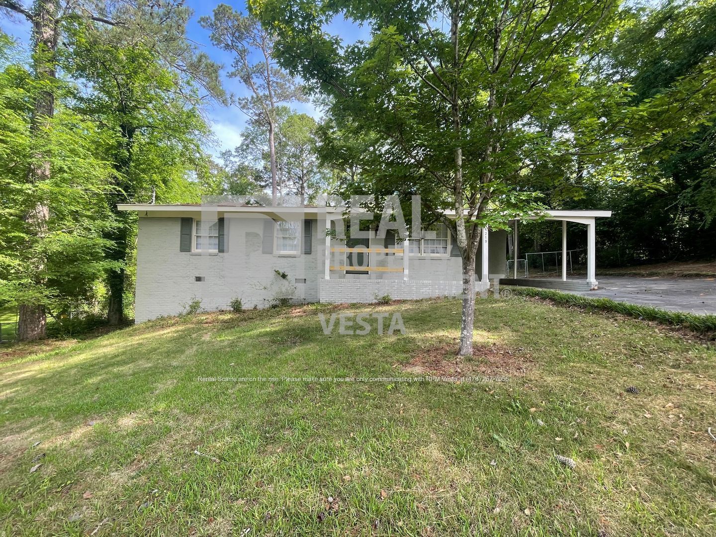 Gallery Image 0