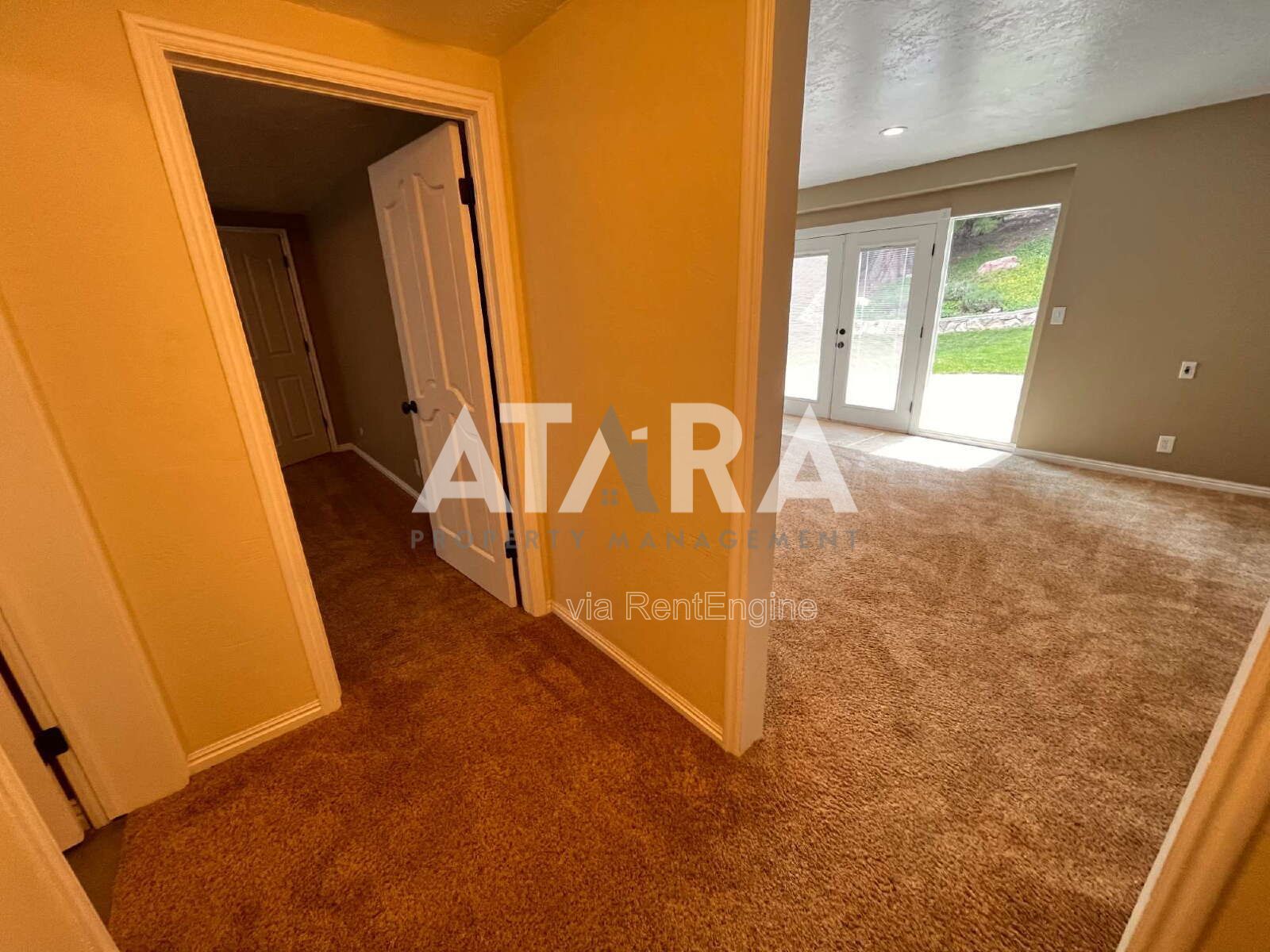 Gallery Image 49