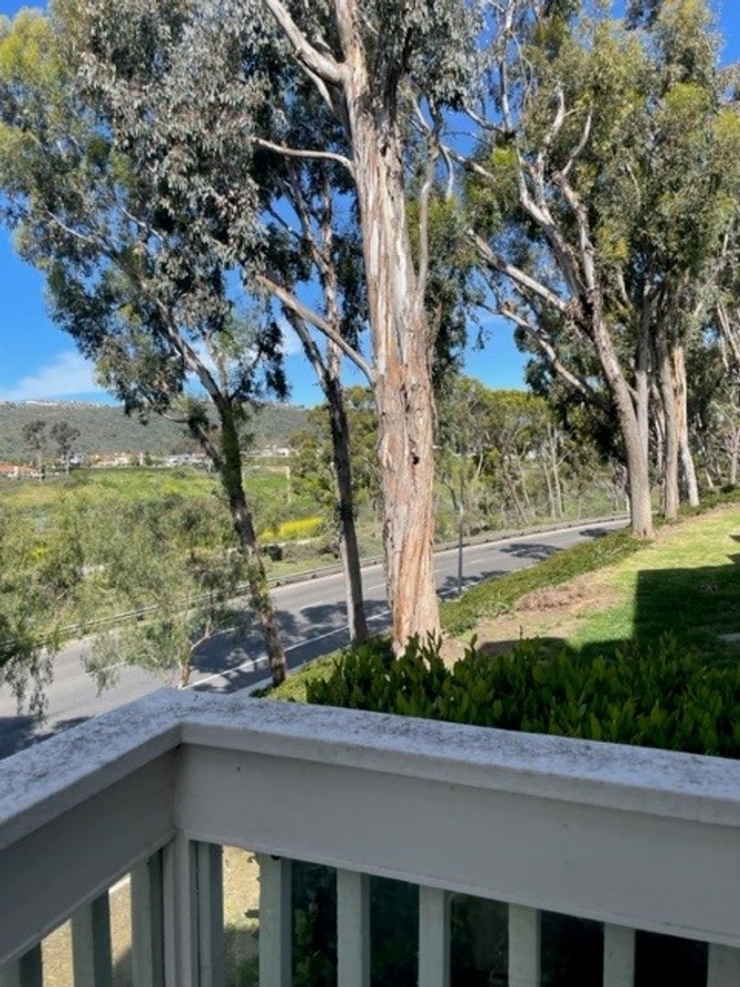 Gallery Image 16