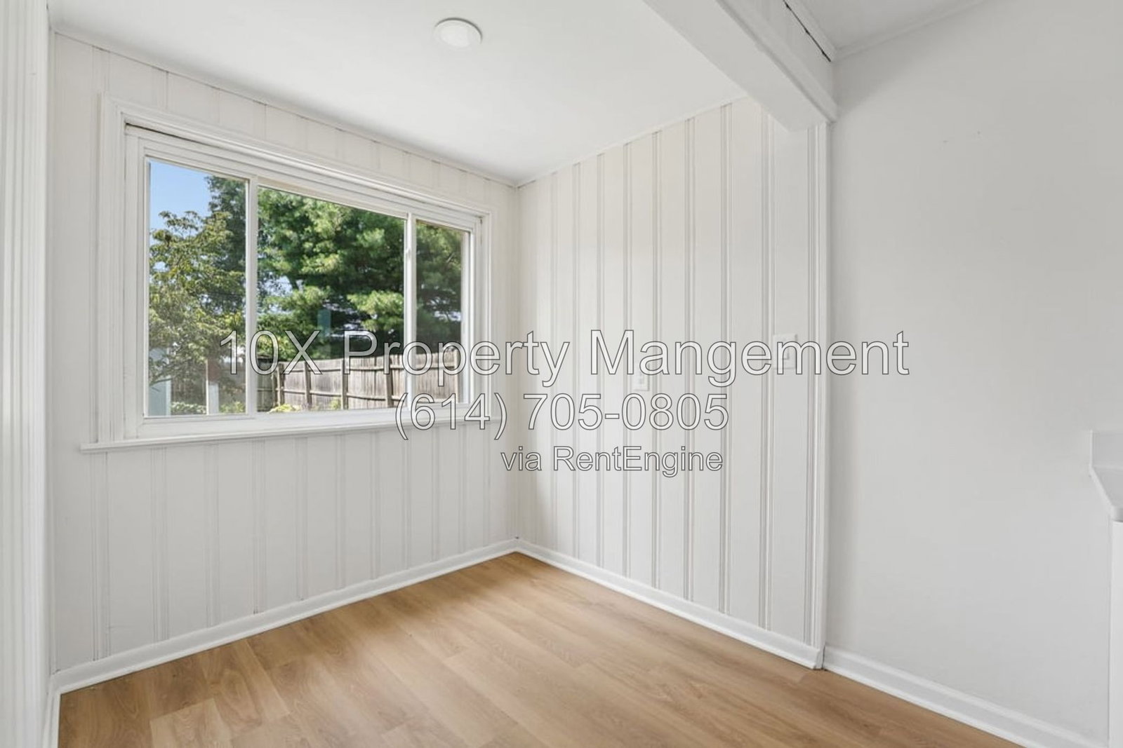 Gallery Image 10
