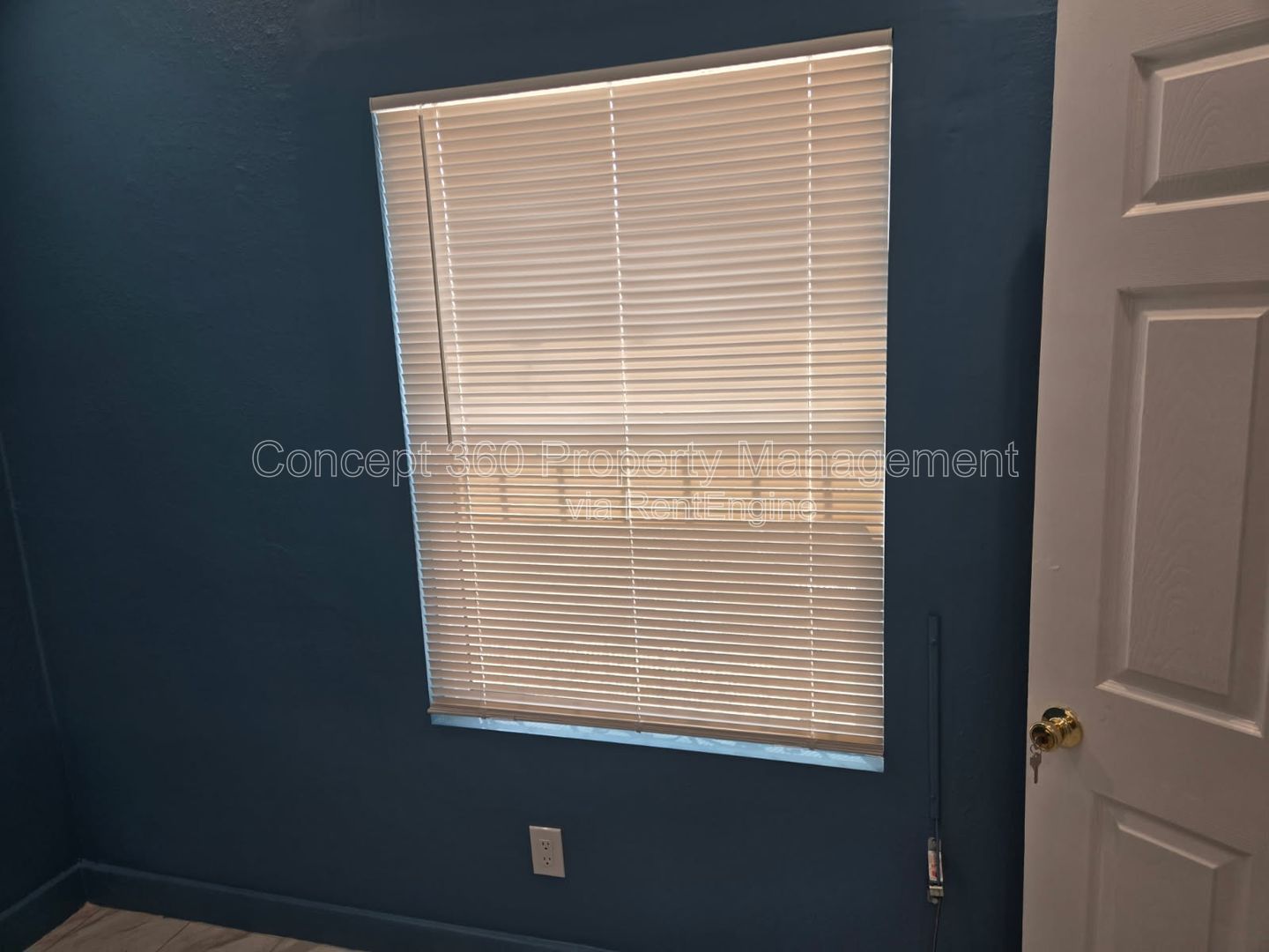 Gallery Image 36