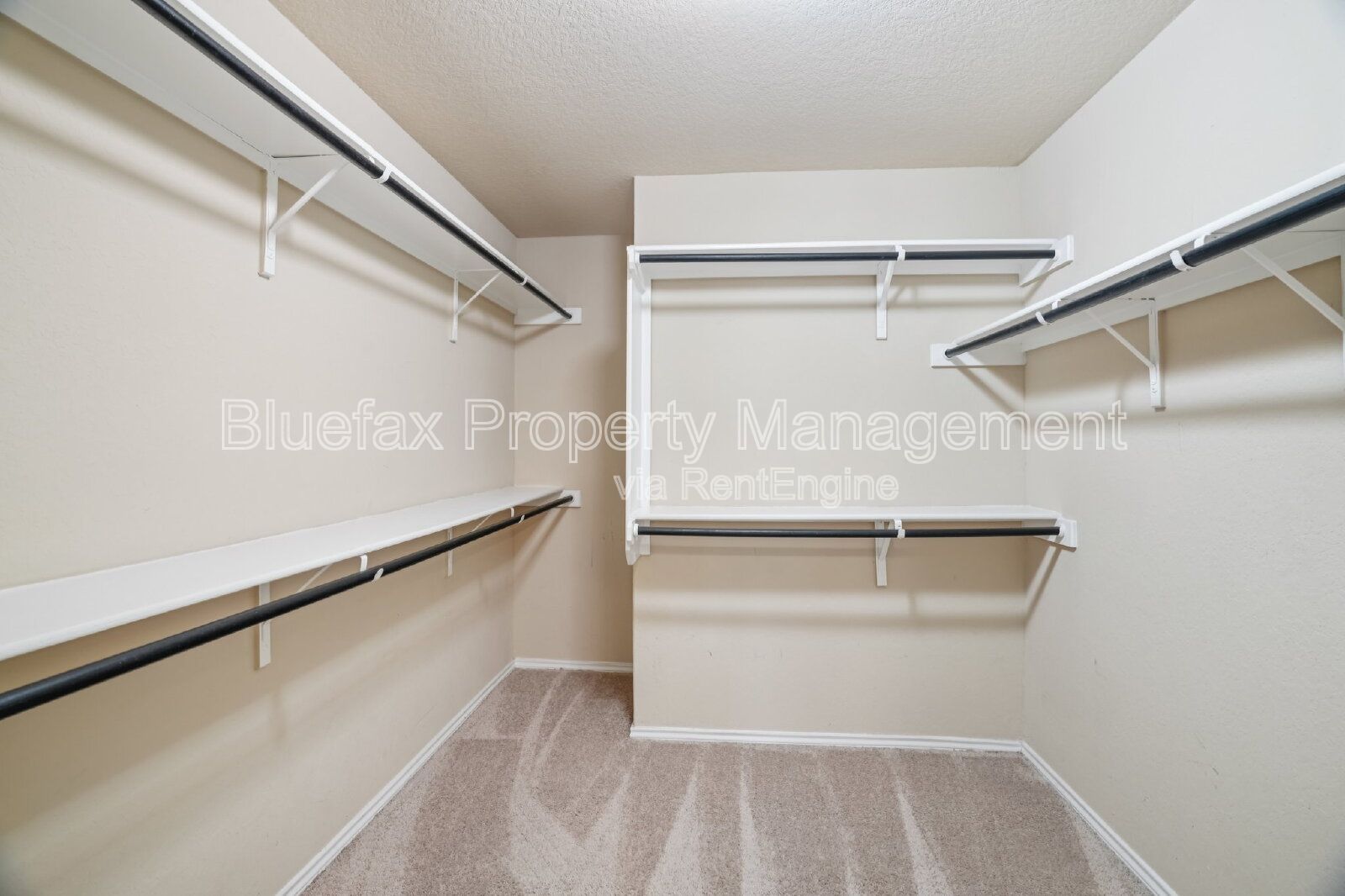Gallery Image 19
