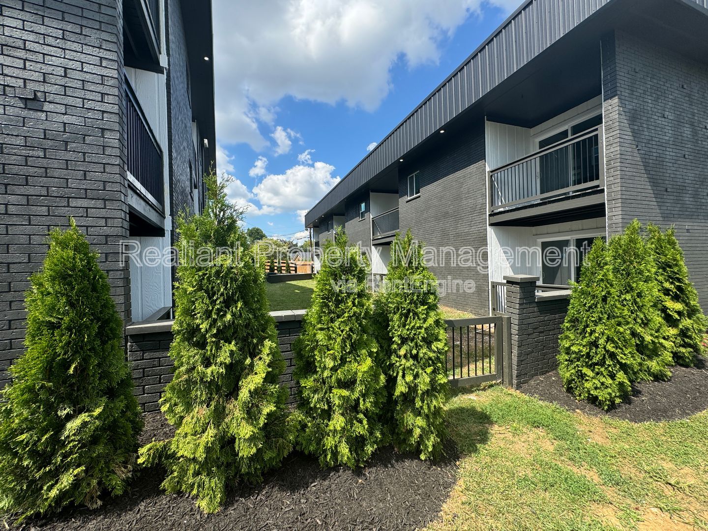 Gallery Image 25