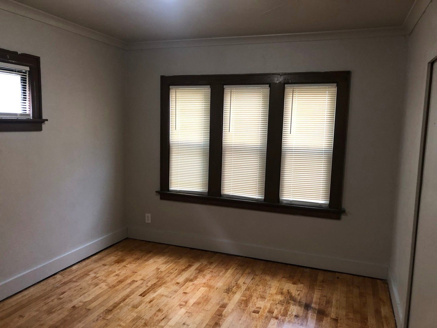 Gallery Image 16