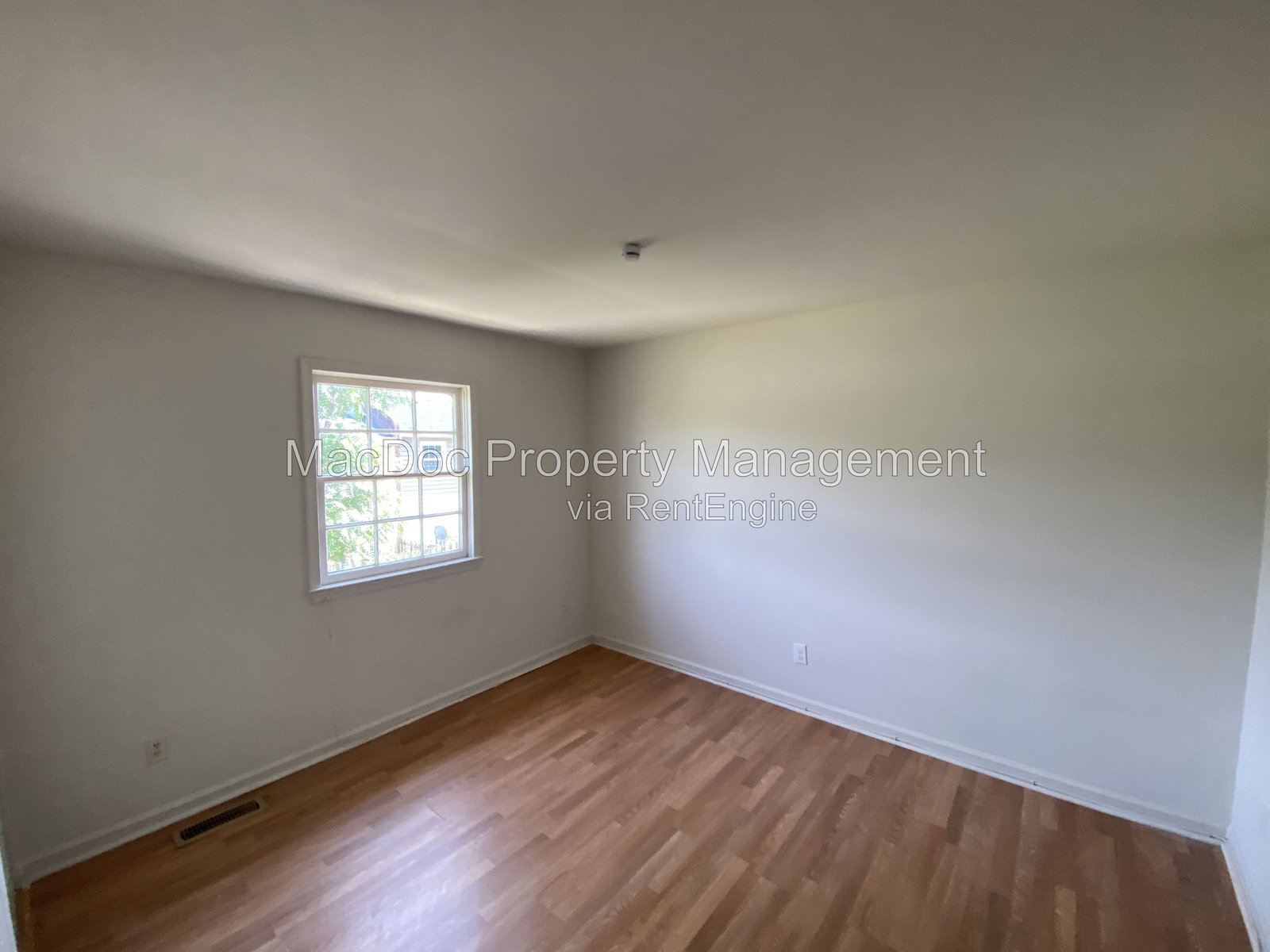Gallery Image 41