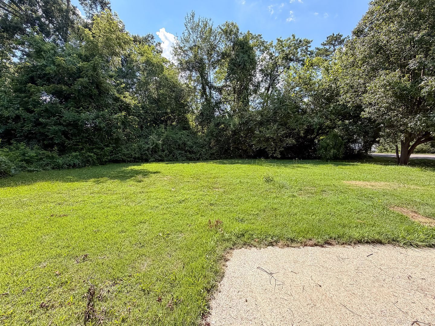 Gallery Image 14