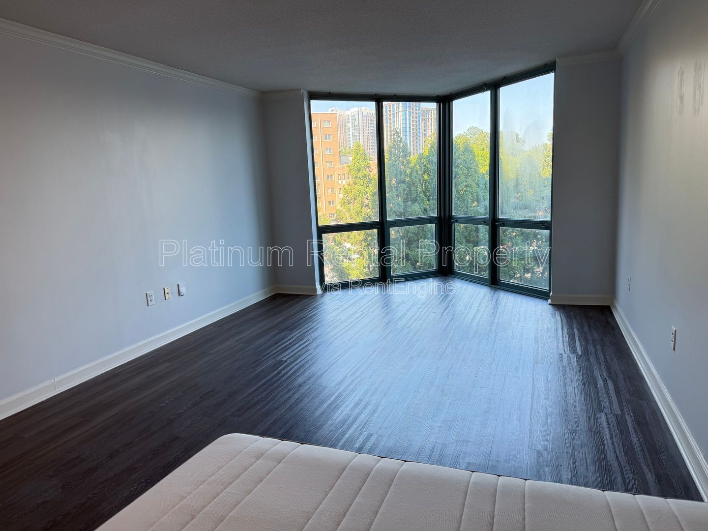 Gallery Image 17