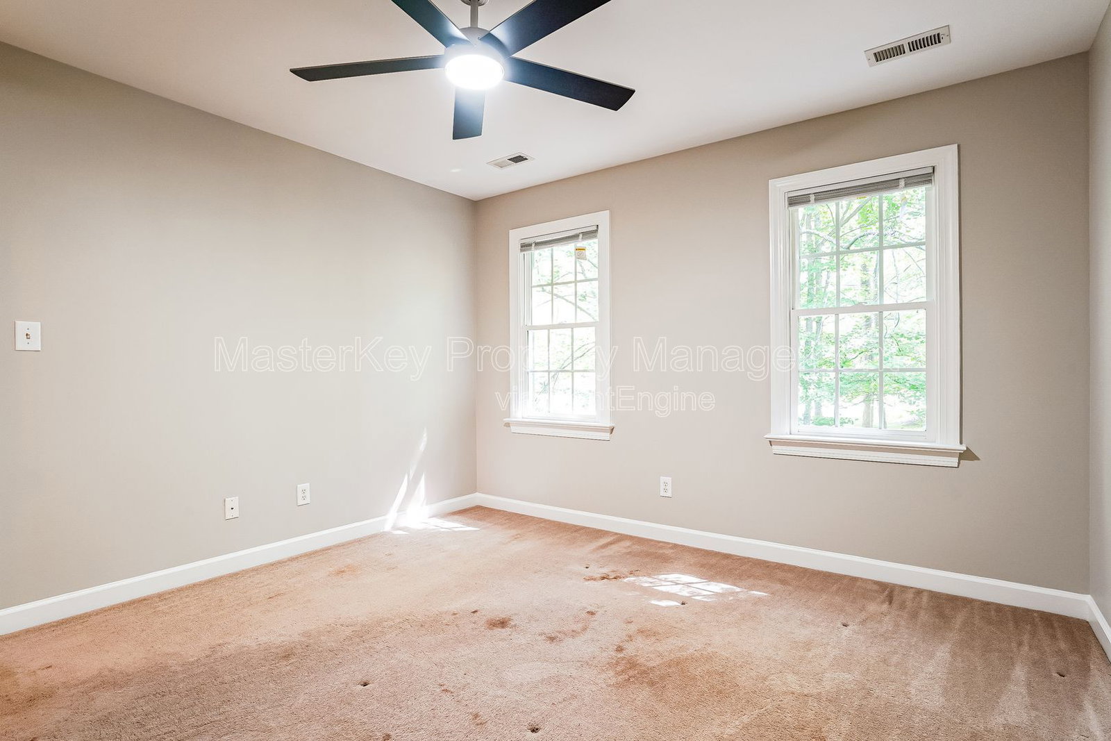 Gallery Image 19