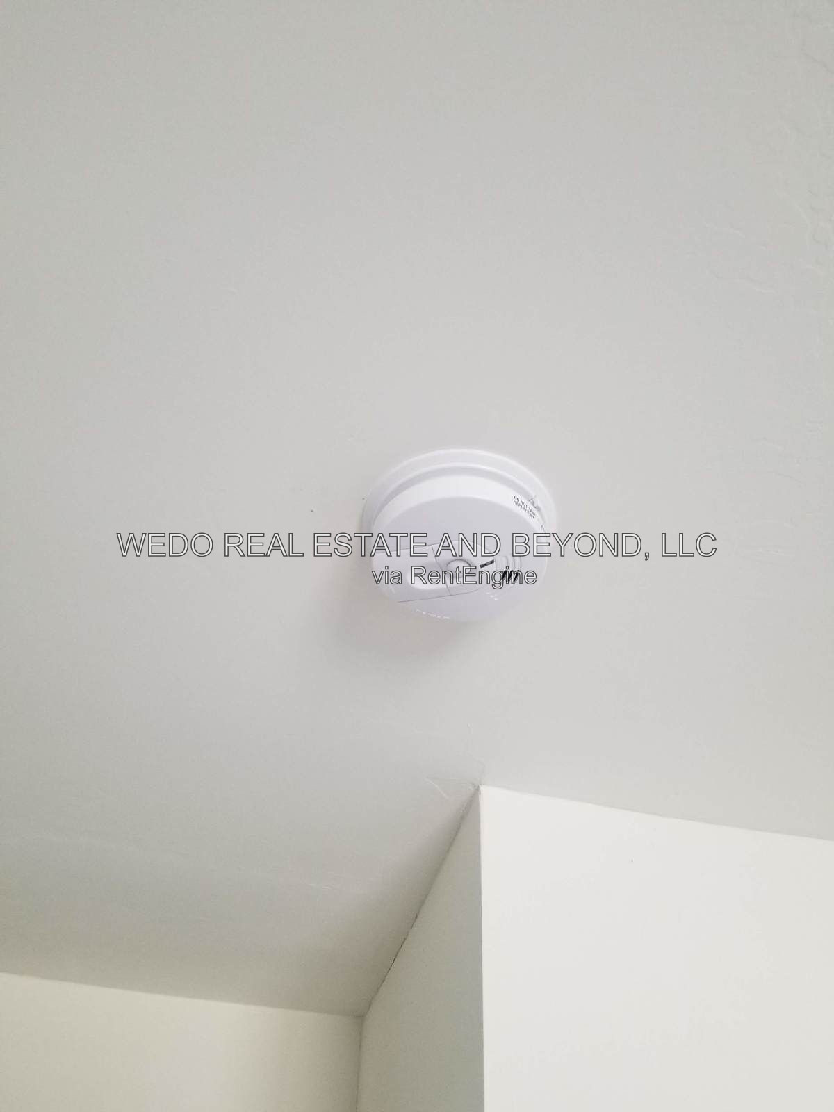 Gallery Image 23