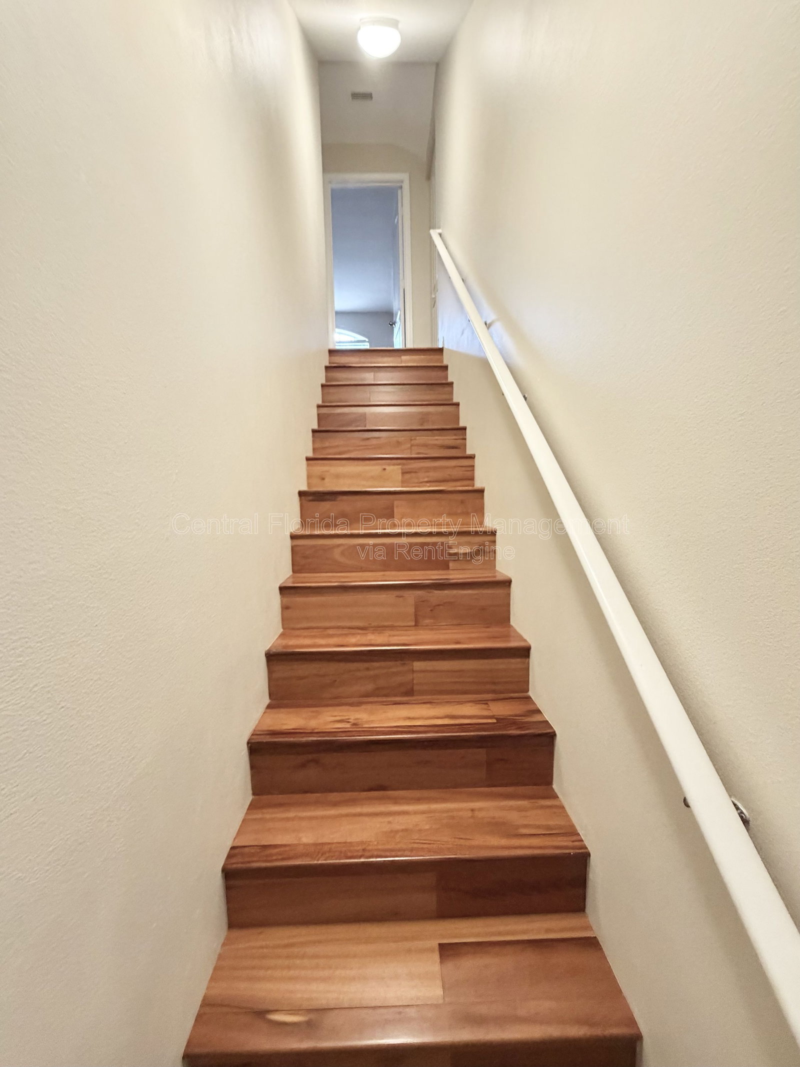 Gallery Image 19