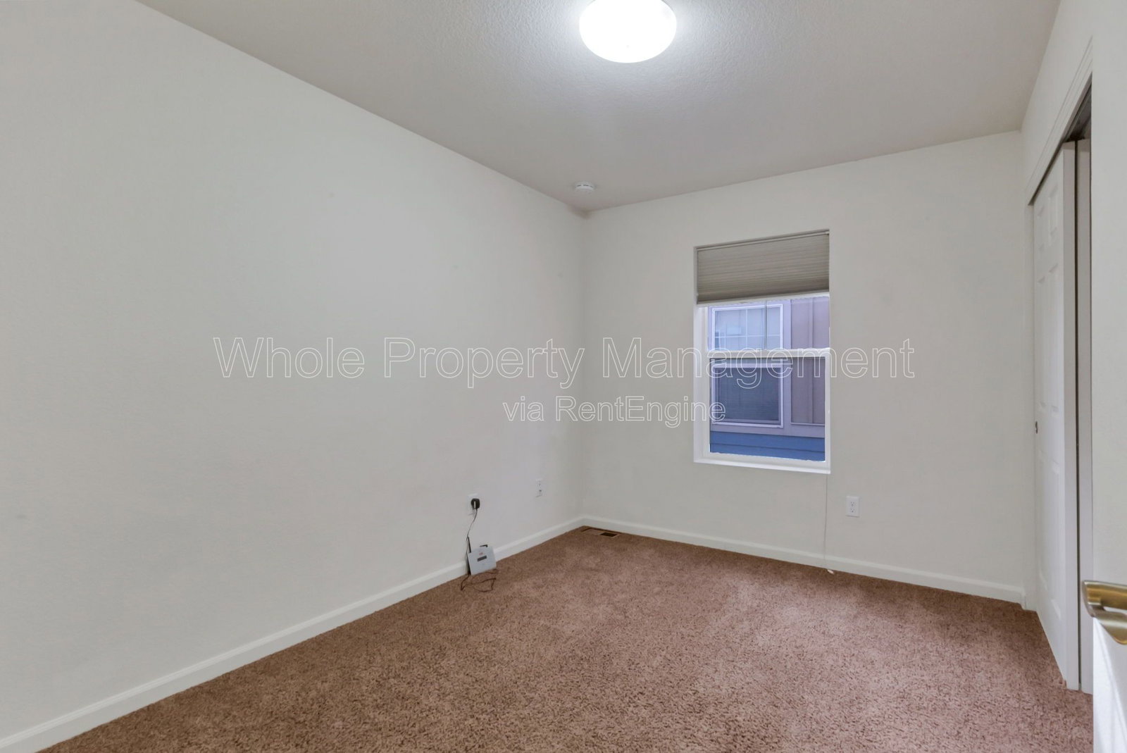 Gallery Image 19