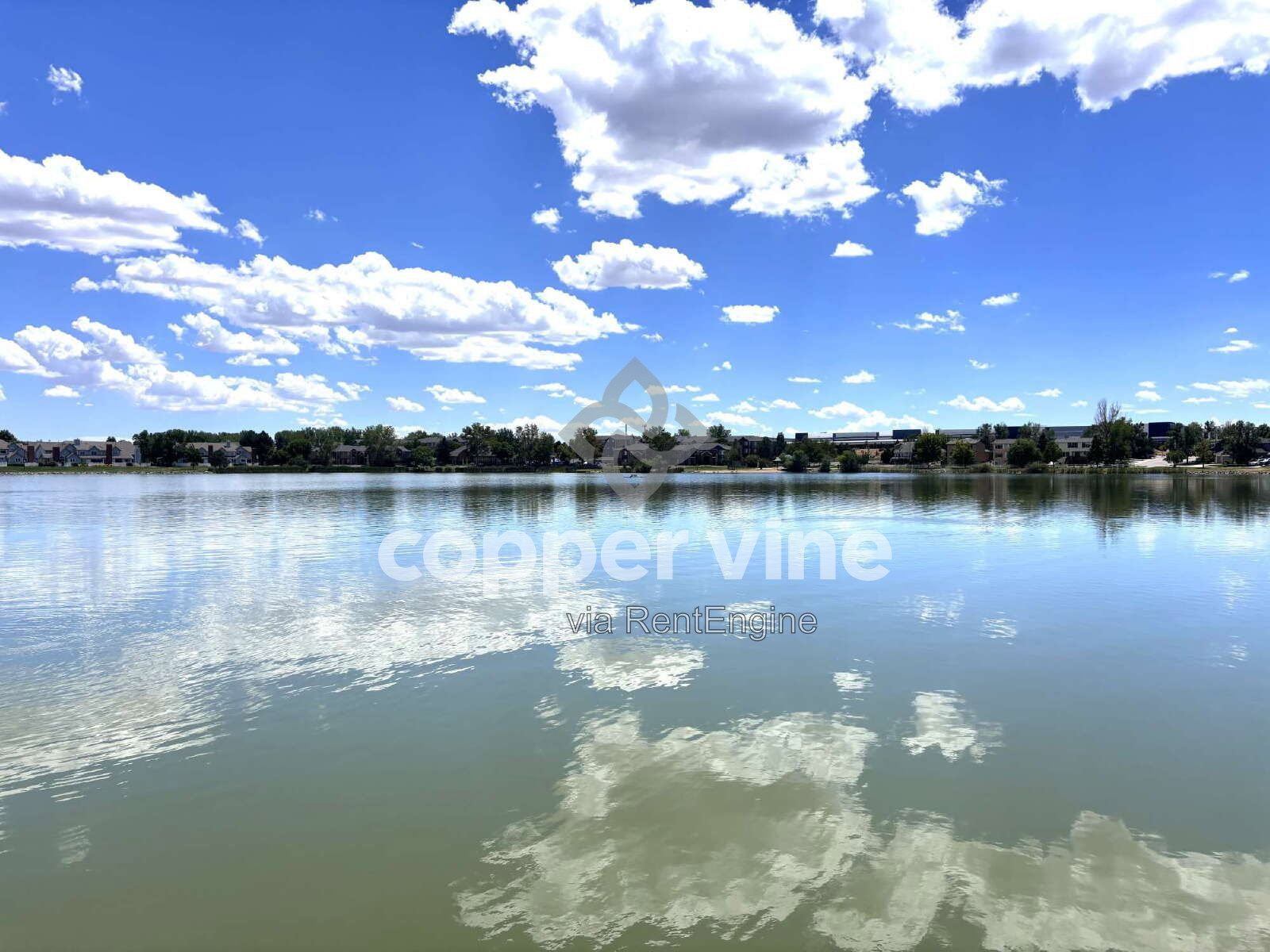 Gallery Image 34