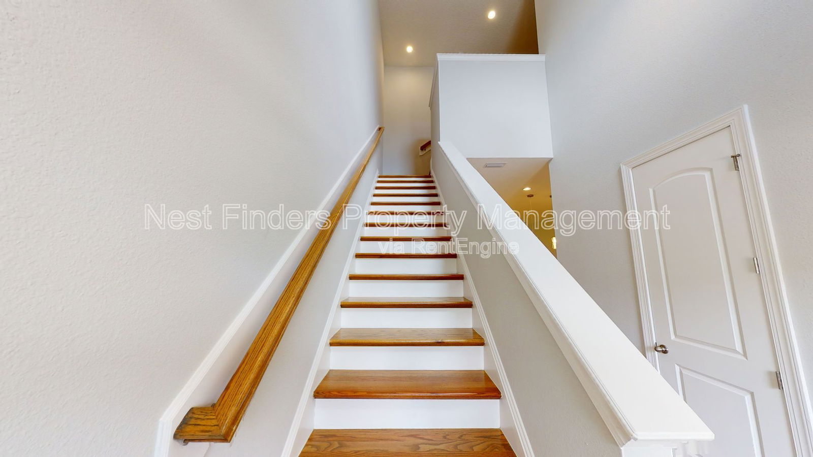 Gallery Image 19