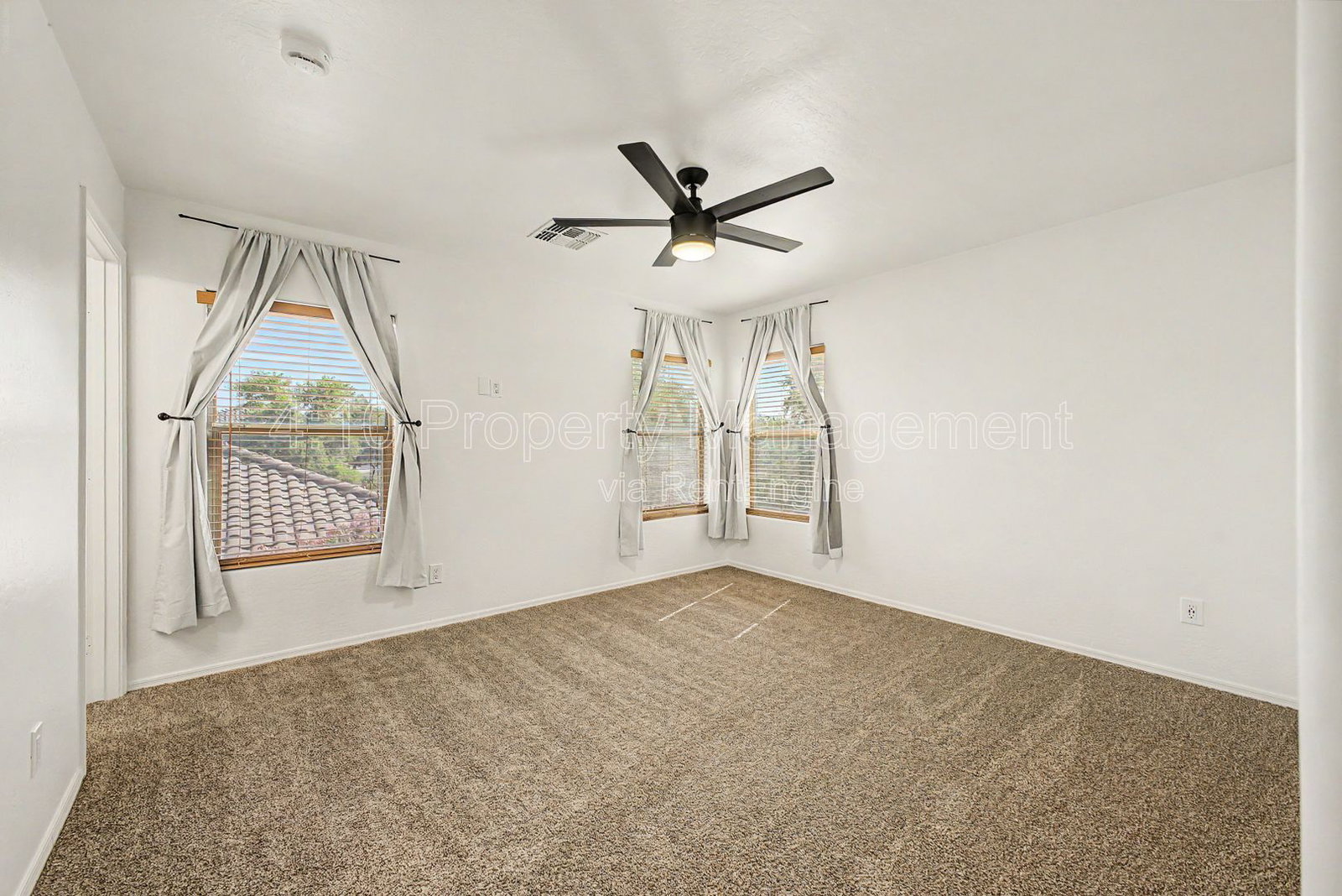 Gallery Image 19