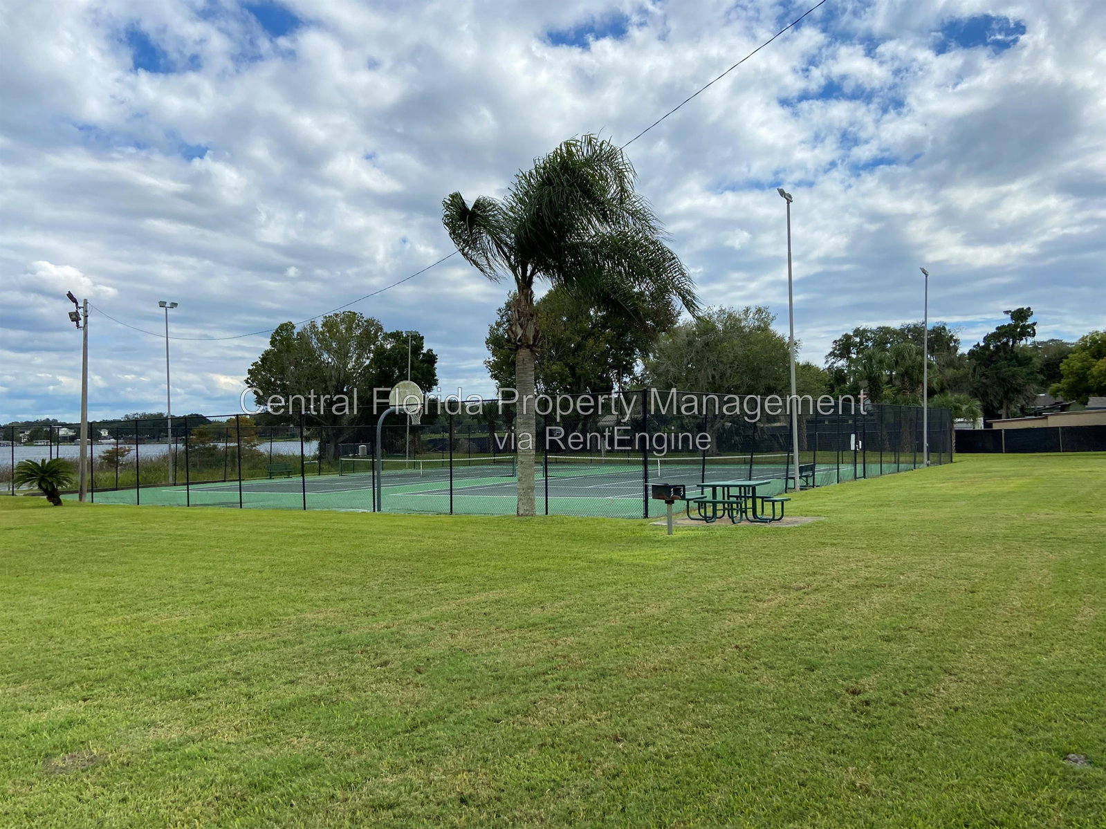 Gallery Image 14