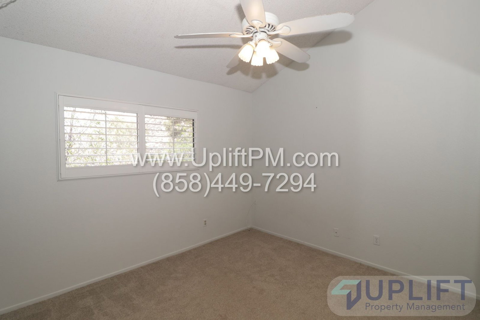 Gallery Image 38