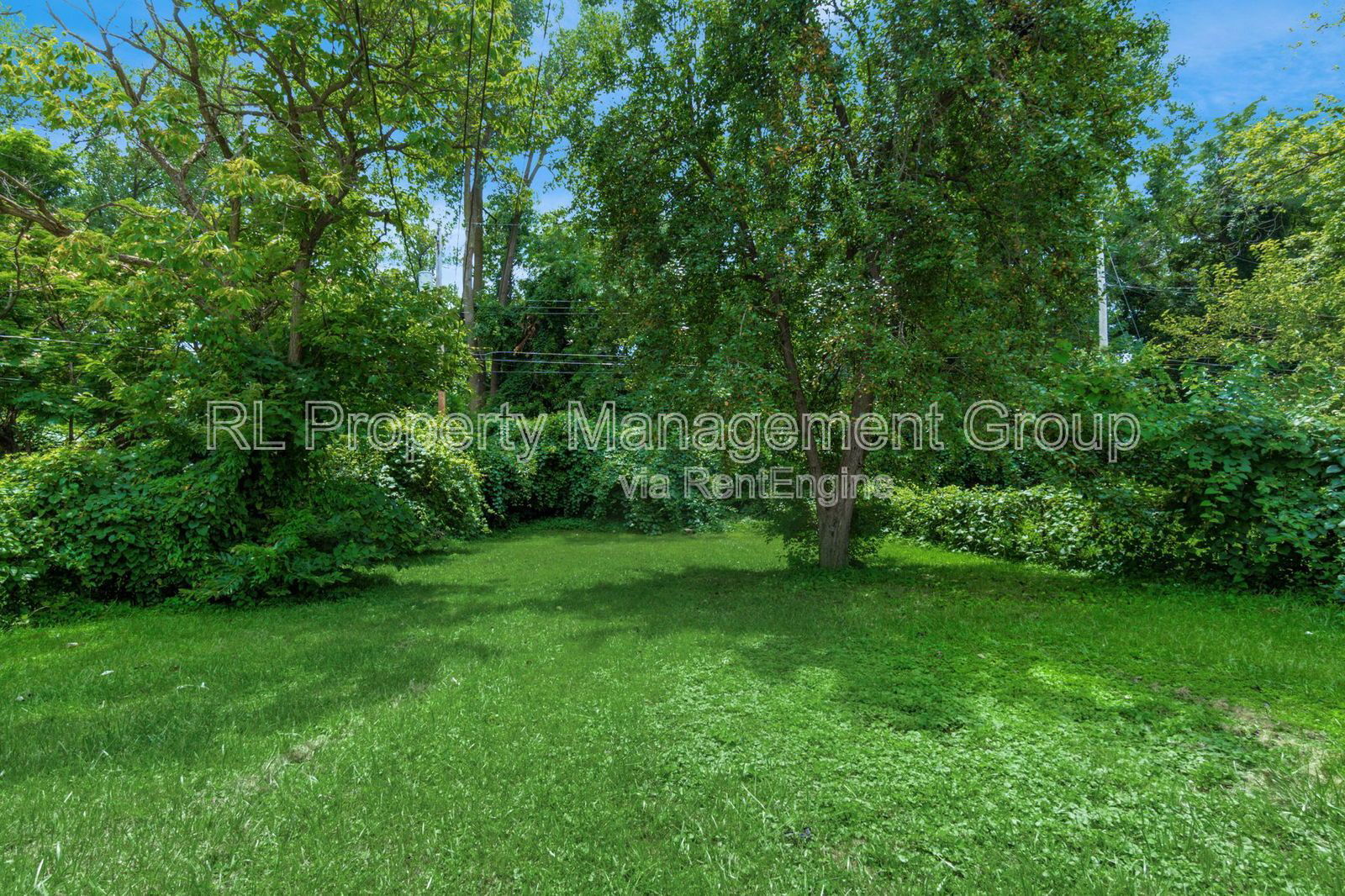 Gallery Image 31
