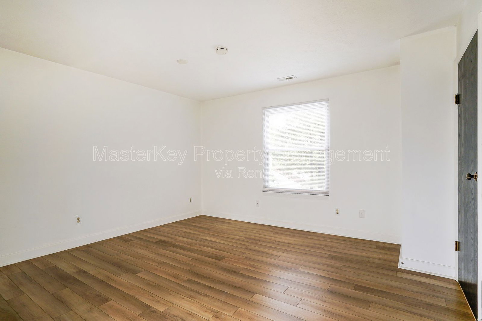 Gallery Image 18