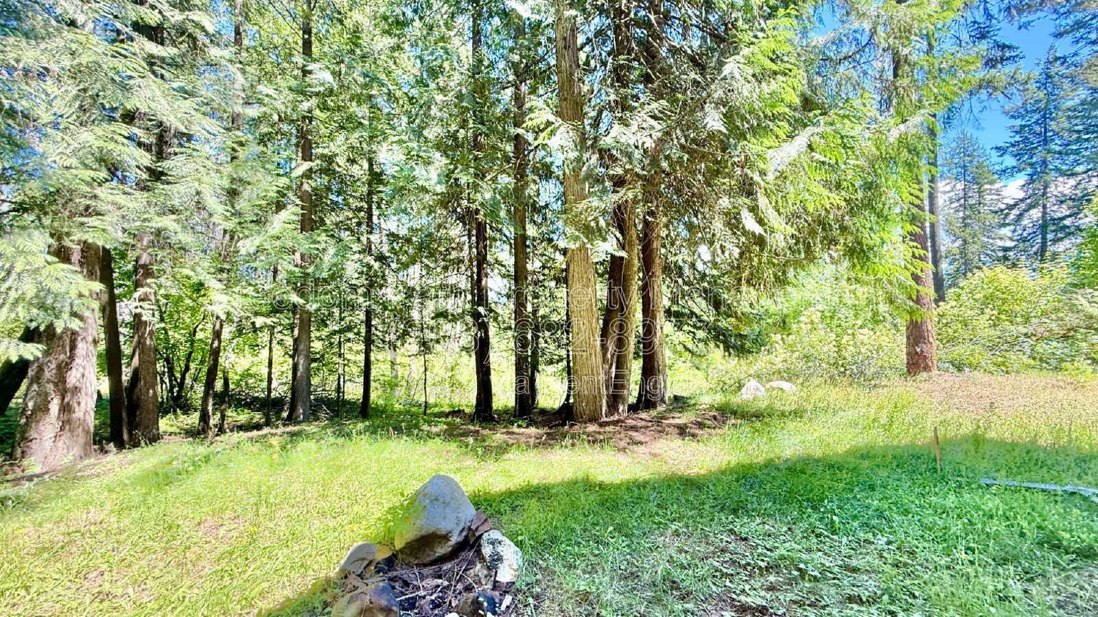 Gallery Image 48