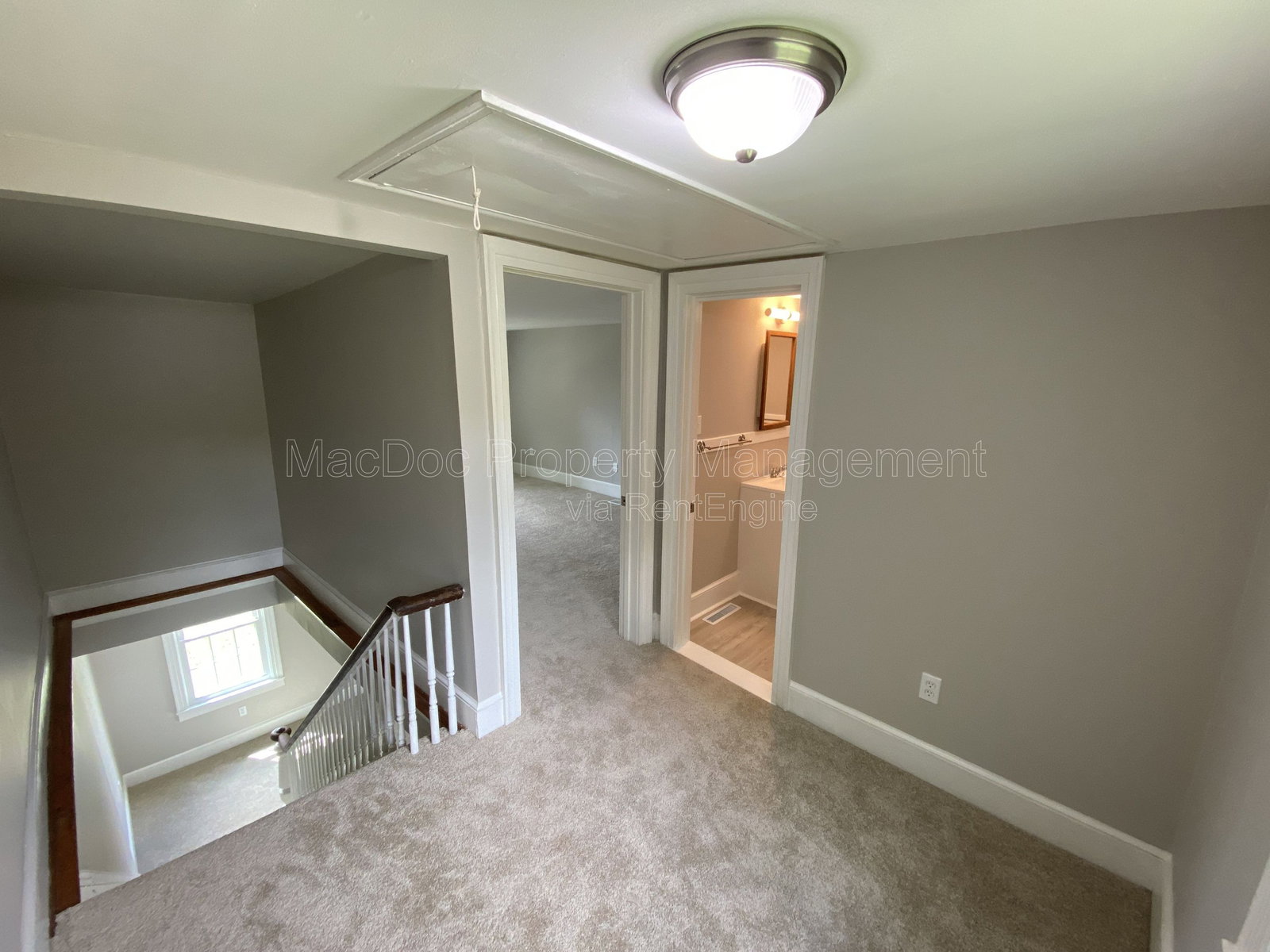 Gallery Image 8
