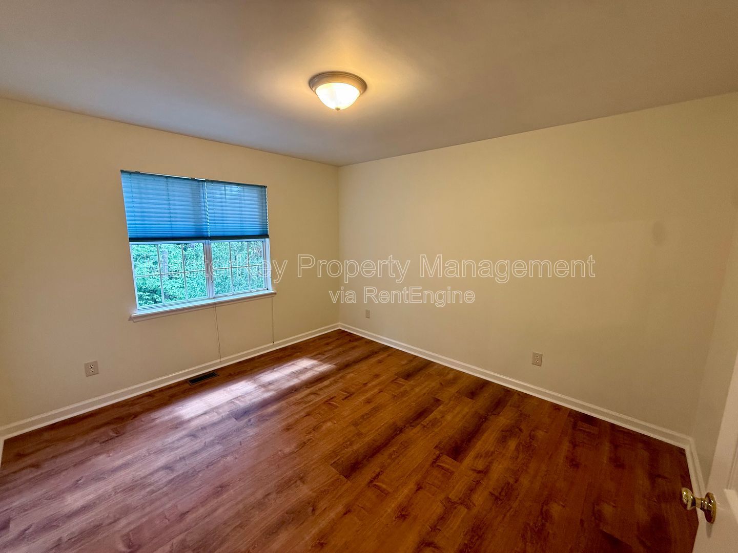 Gallery Image 18