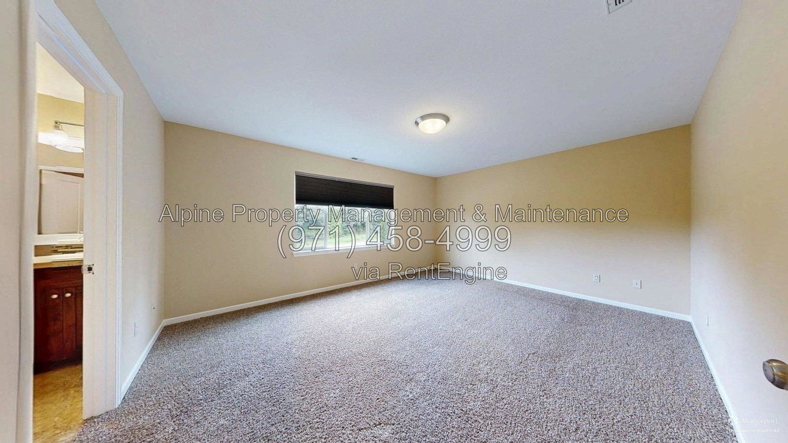 Gallery Image 46