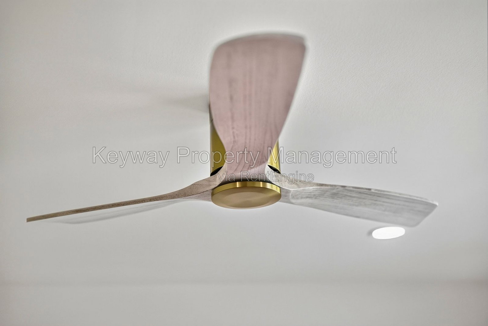 Gallery Image 15