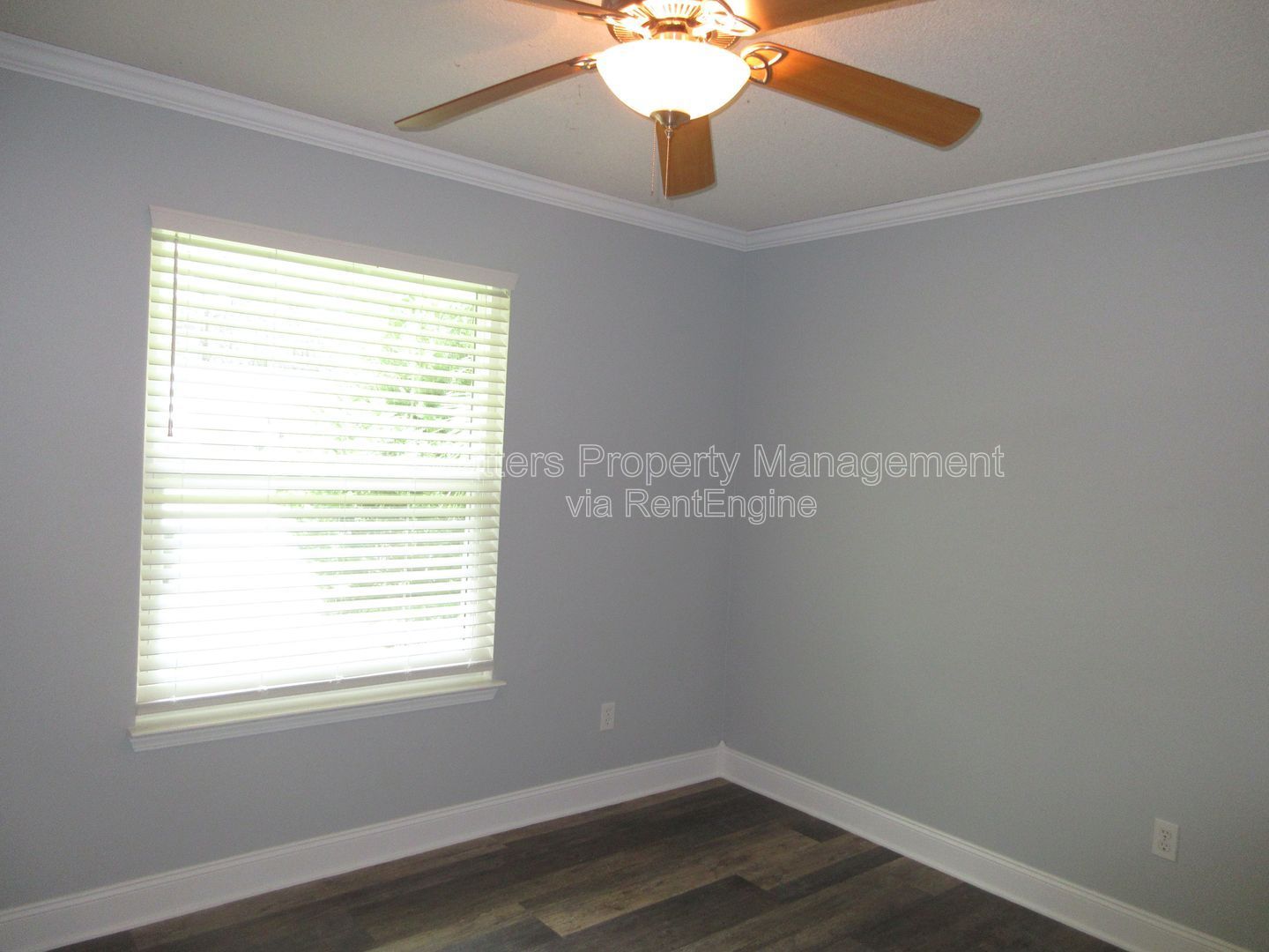 Gallery Image 16