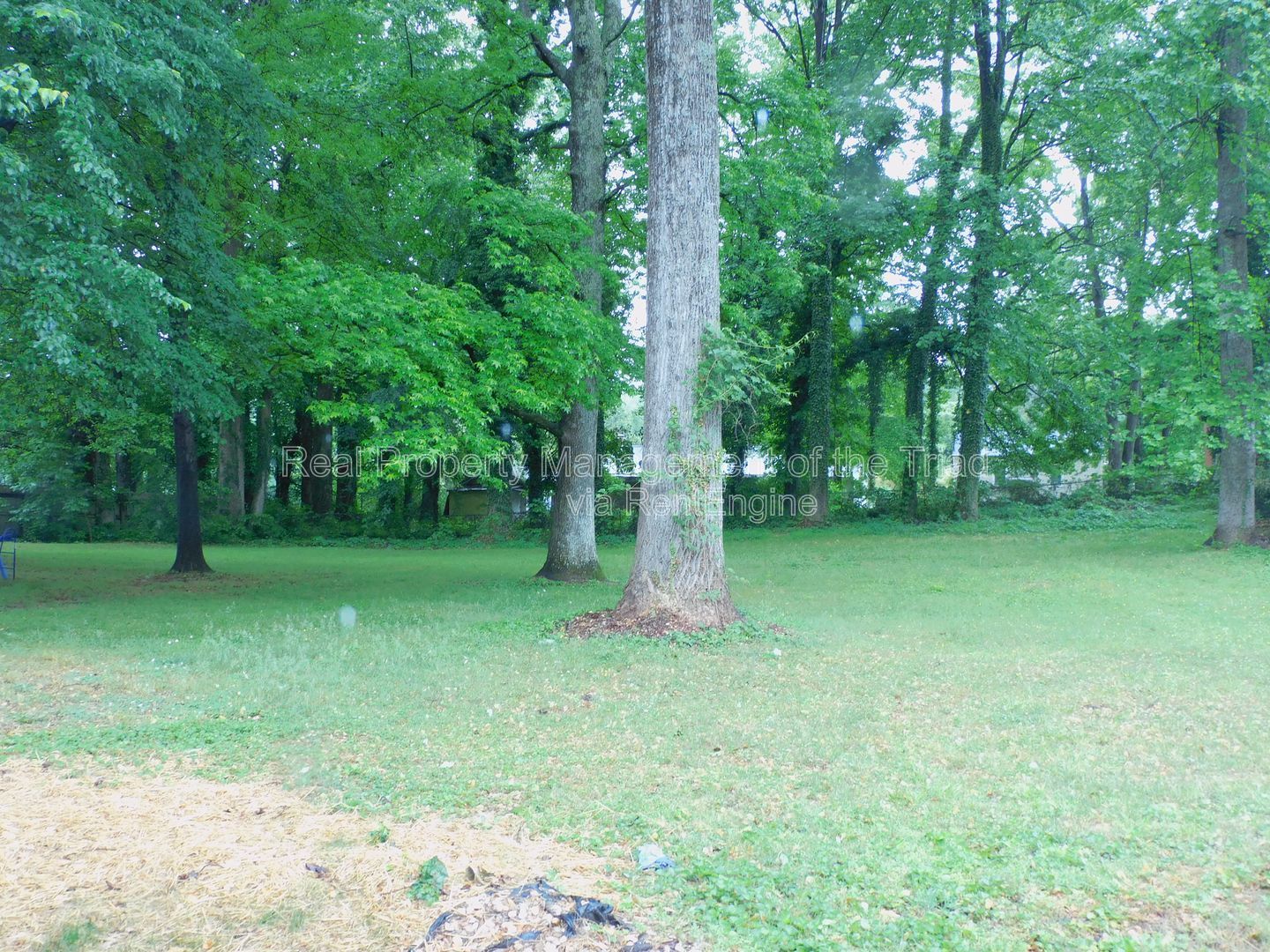 Gallery Image 21